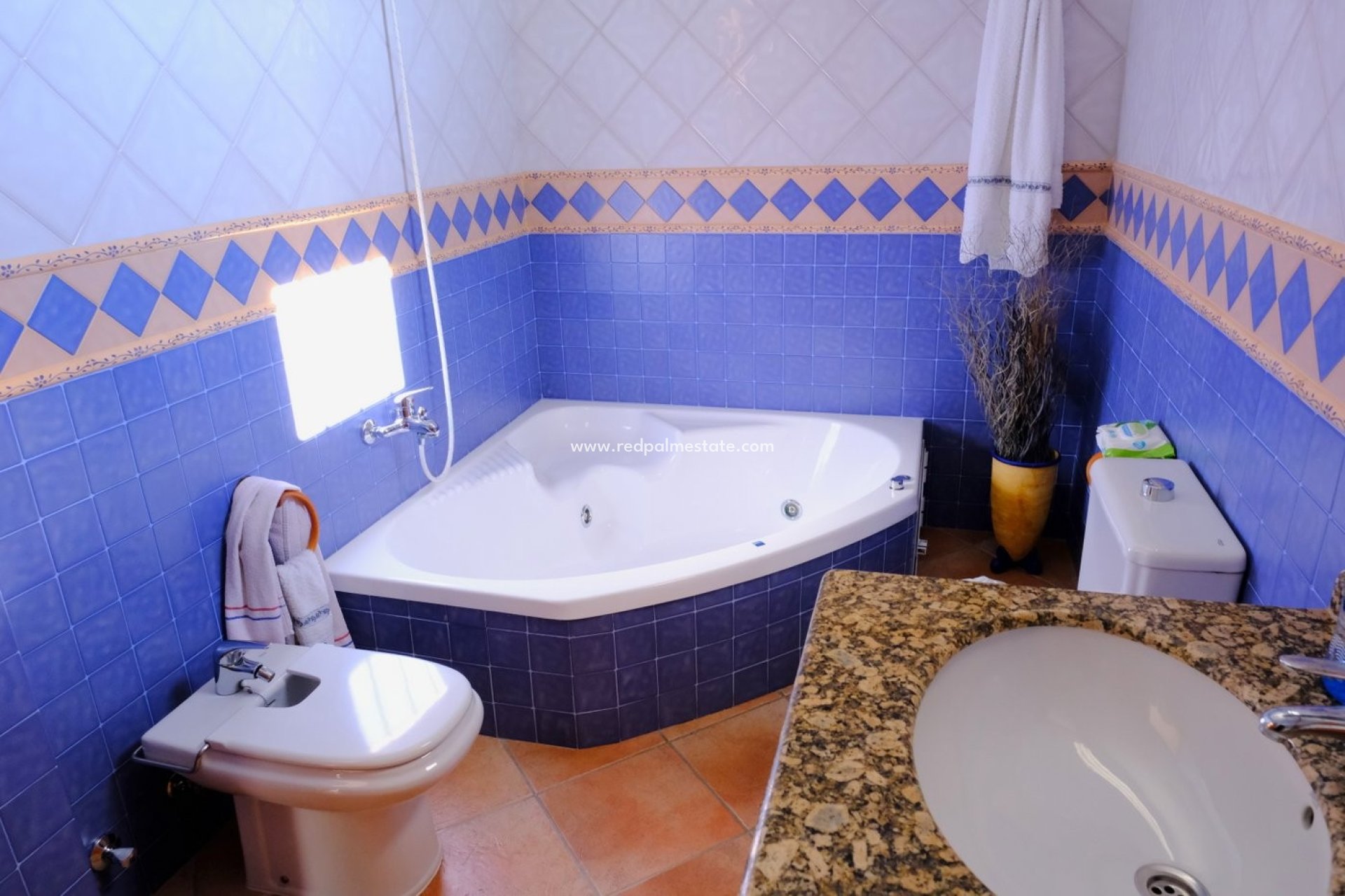 Reventa - Finca / Propiedad de Campo -
Orihuela - Inland