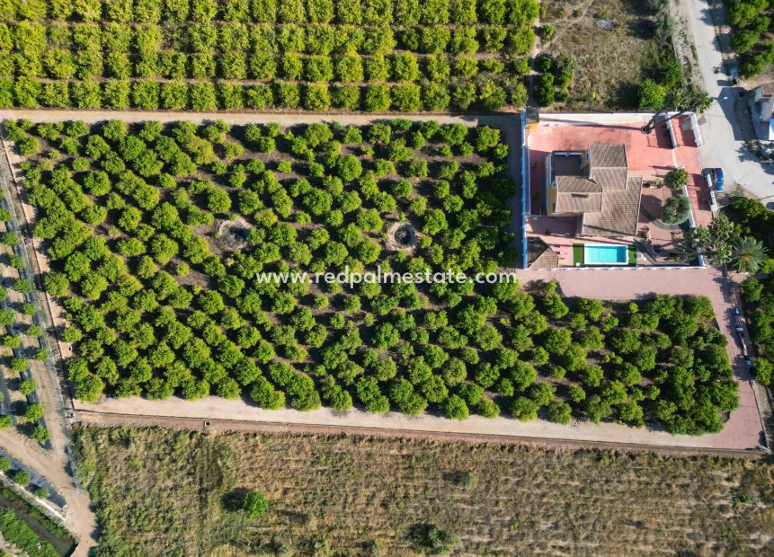 Reventa - Finca / Propiedad de Campo -
Orihuela - Inland