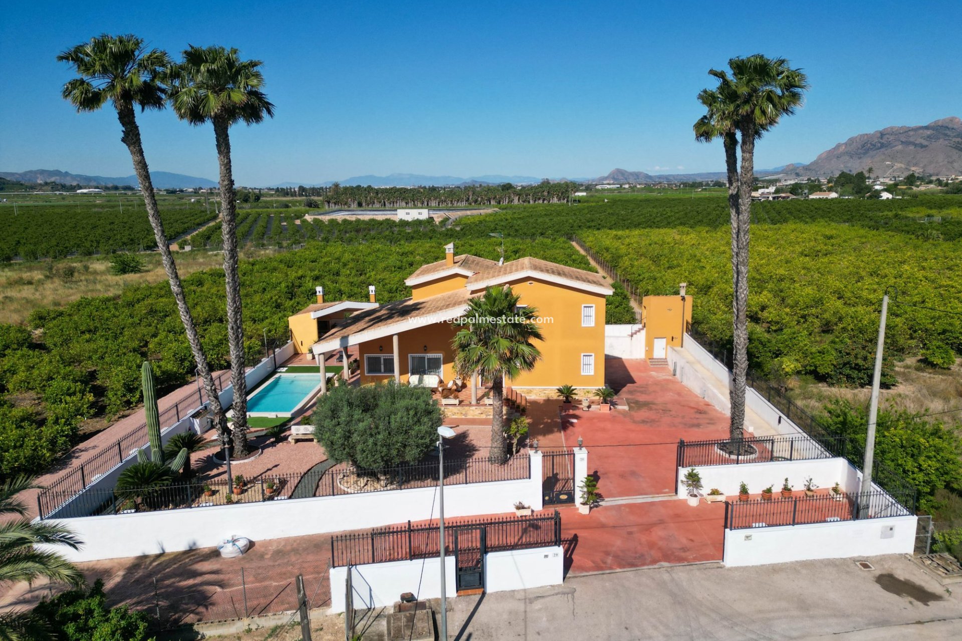 Reventa - Finca / Propiedad de Campo -
Orihuela - Inland
