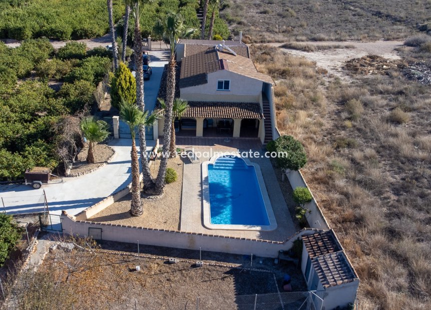 Reventa - Finca / Propiedad de Campo -
Orihuela - La Matanza