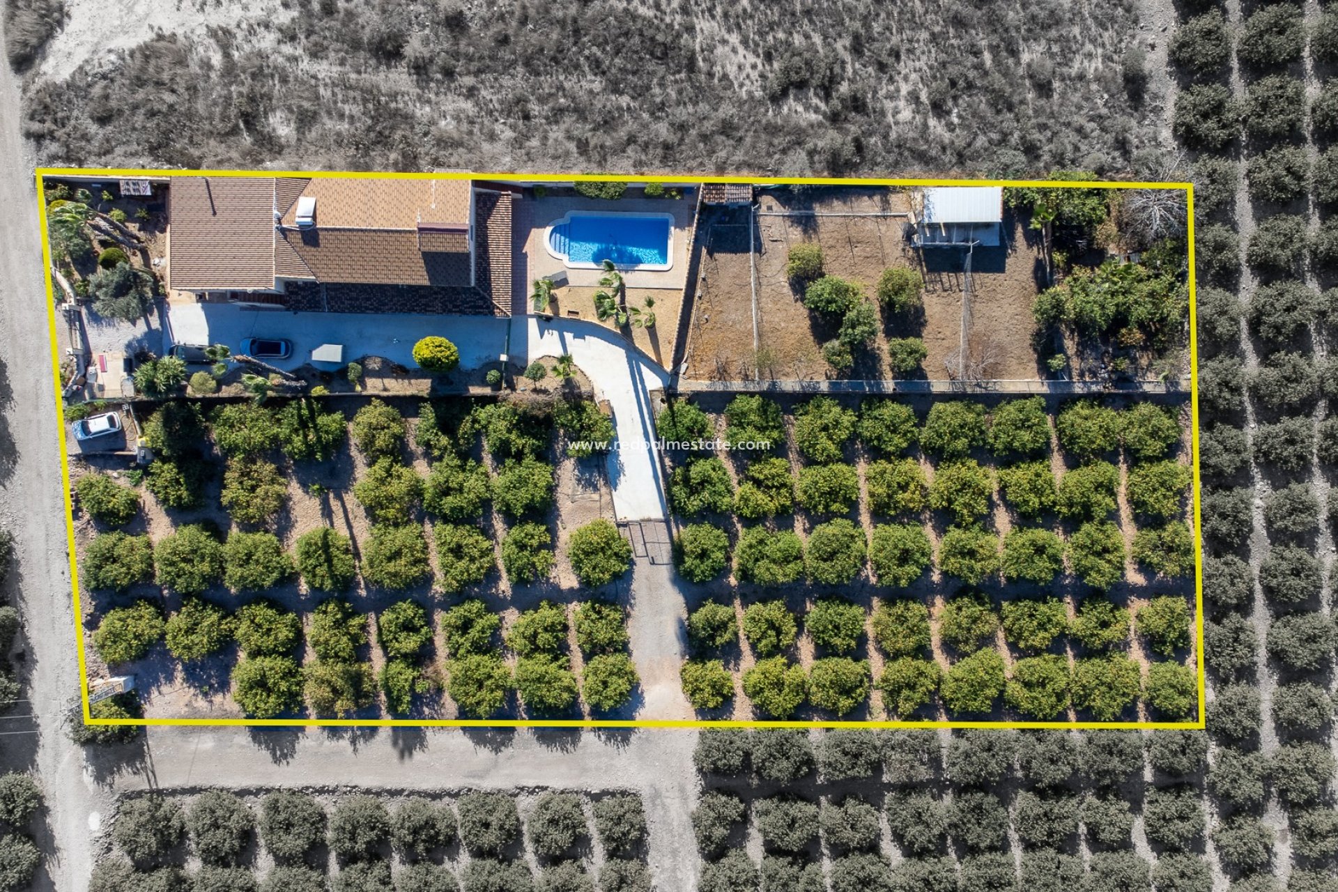 Reventa - Finca / Propiedad de Campo -
Orihuela - La Matanza