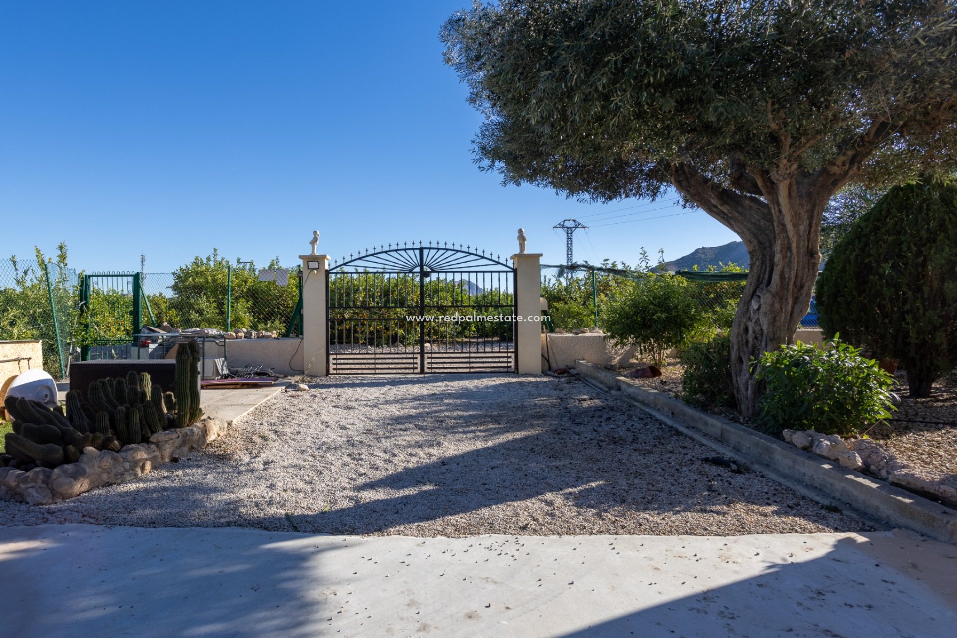 Reventa - Finca / Propiedad de Campo -
Orihuela - La Matanza