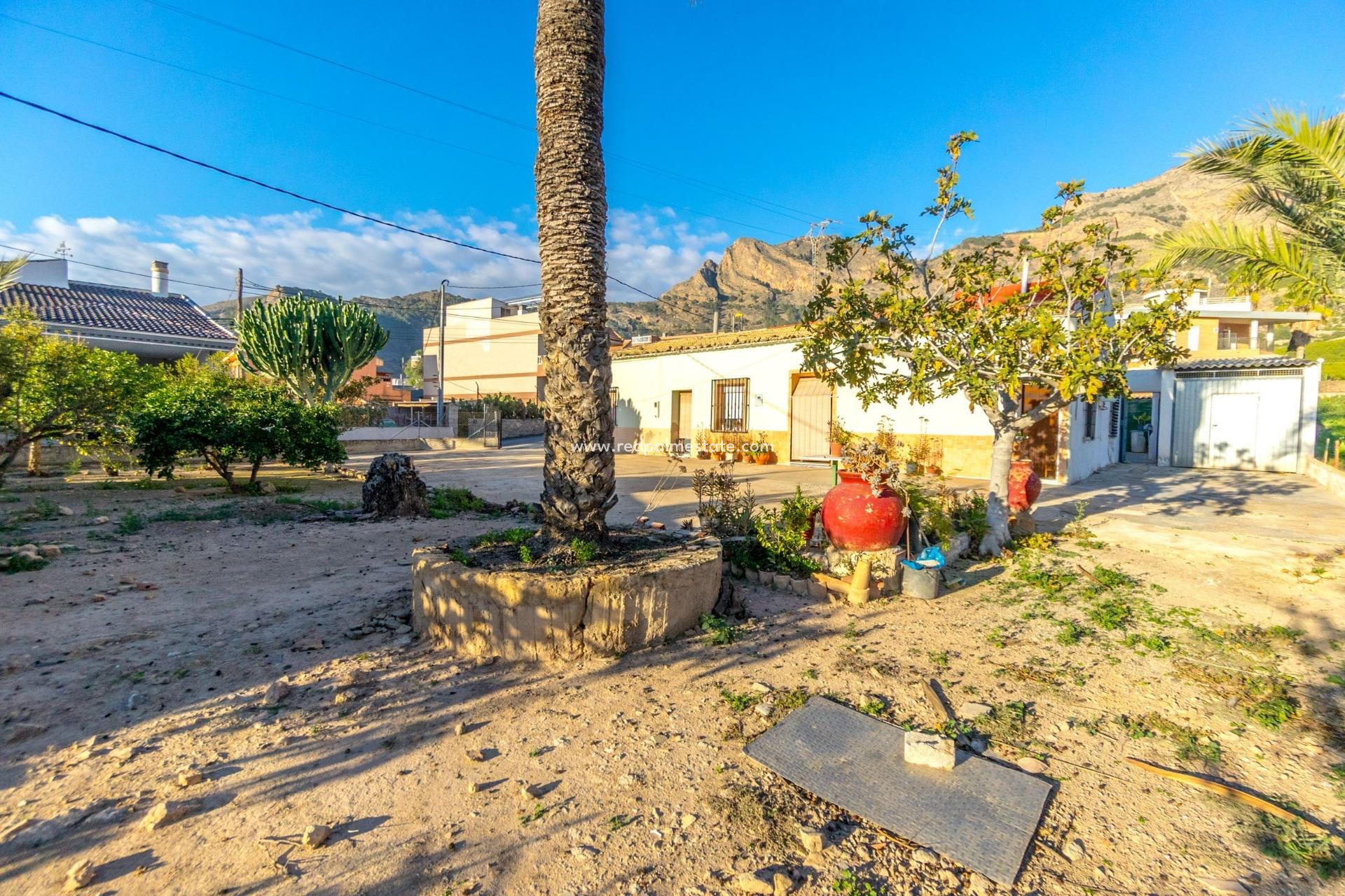 Reventa - Finca / Propiedad de Campo -
Orihuela - Raiguero de Bonanza