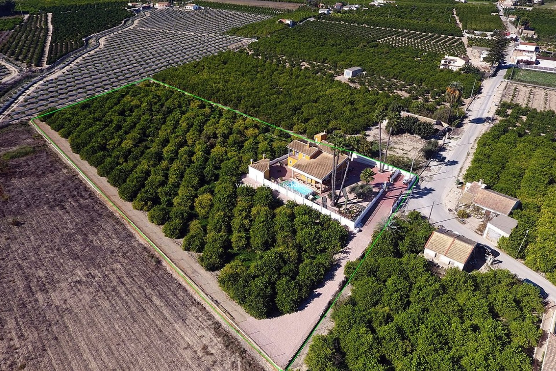 Reventa - Finca / Propiedad de Campo -
Orihuela