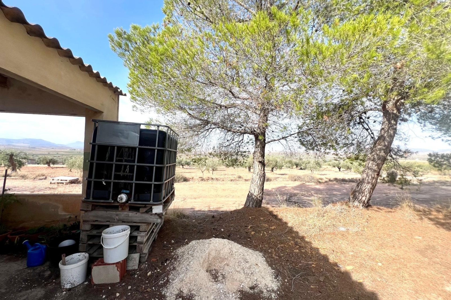 Reventa - Finca / Propiedad de Campo -
Pinoso - Inland