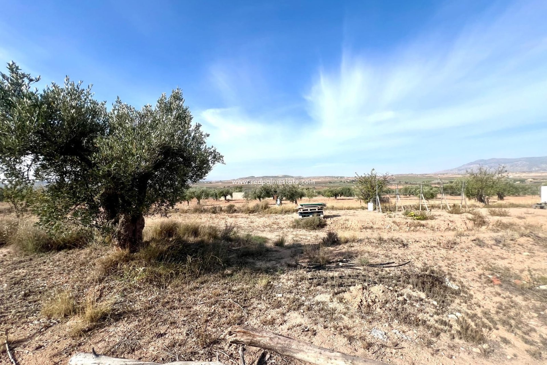 Reventa - Finca / Propiedad de Campo -
Pinoso - Inland