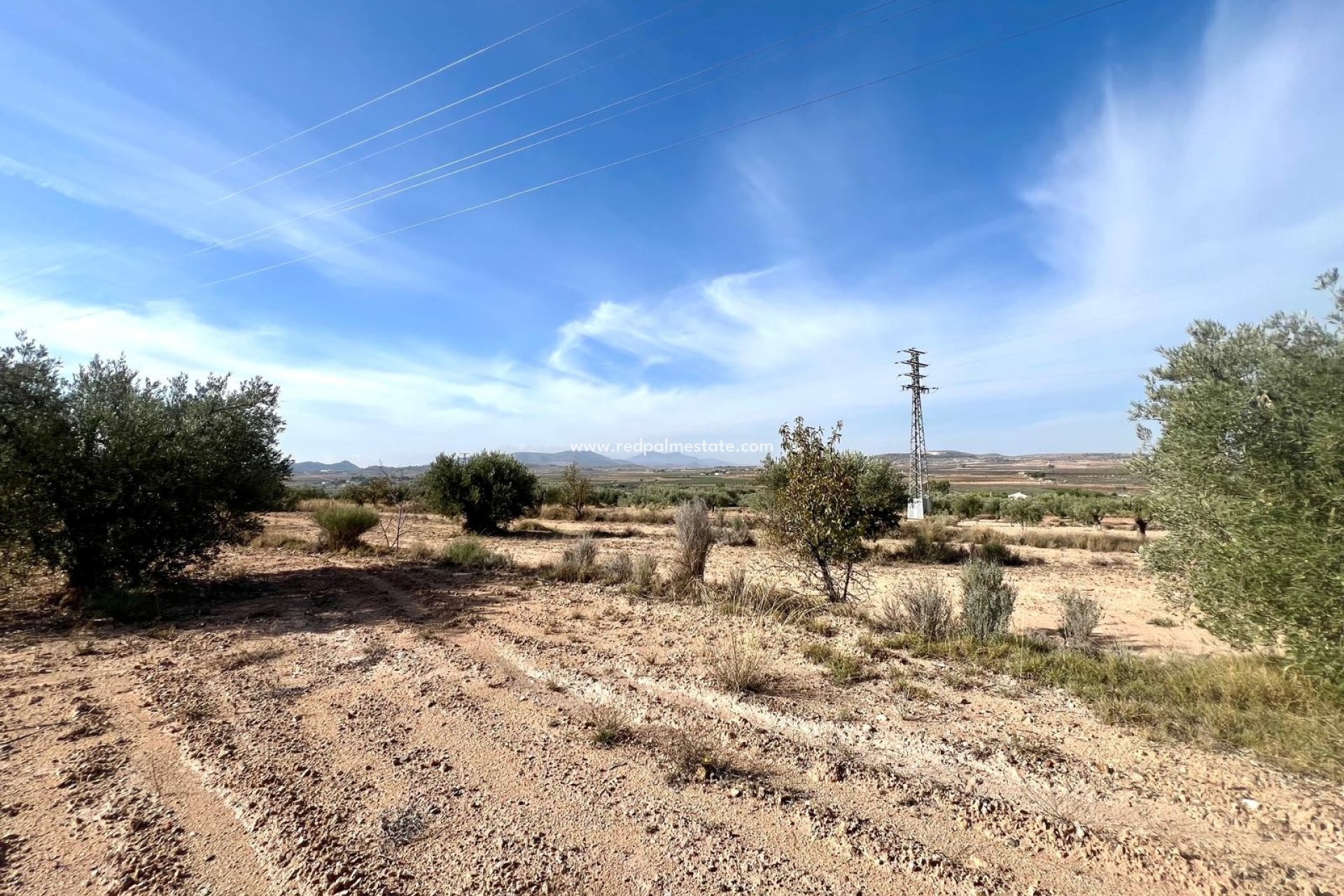 Reventa - Finca / Propiedad de Campo -
Pinoso - Inland