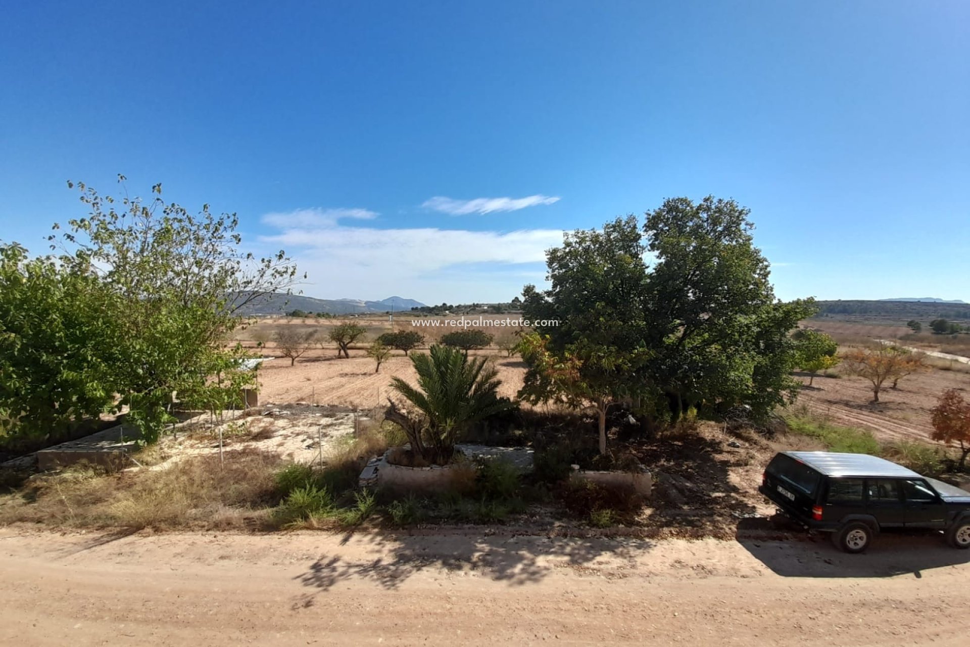 Reventa - Finca / Propiedad de Campo -
Pinoso - Inland
