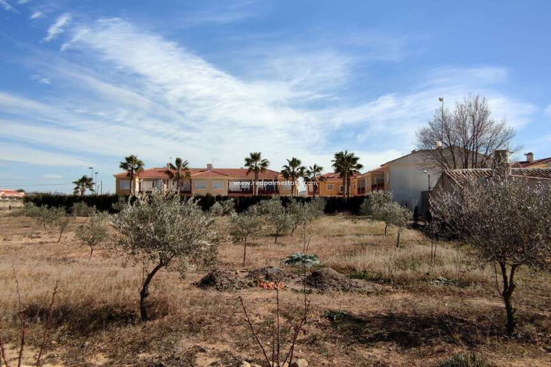 Reventa - Finca / Propiedad de Campo -
Pinoso - Inland