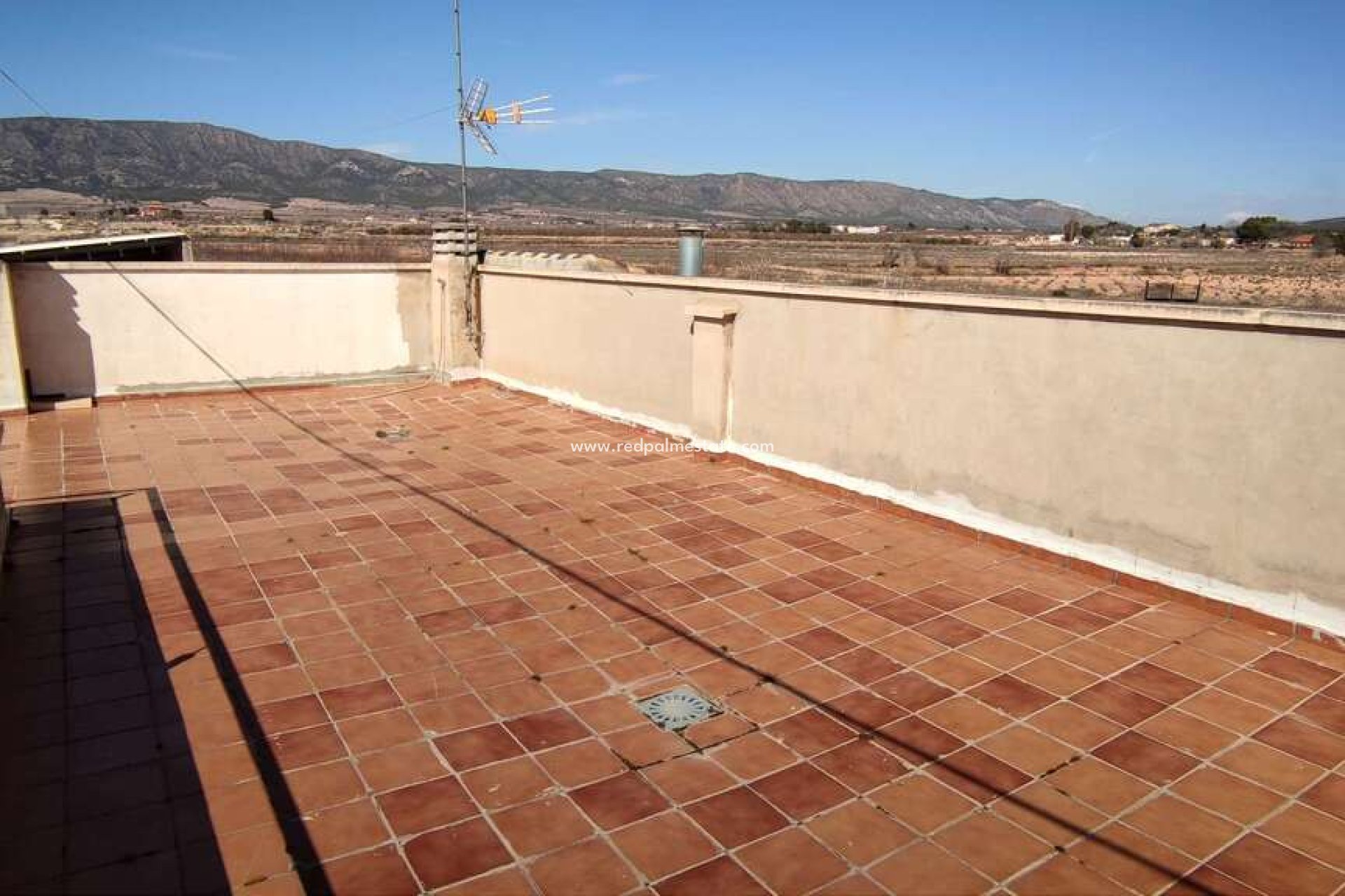 Reventa - Finca / Propiedad de Campo -
Pinoso - Inland