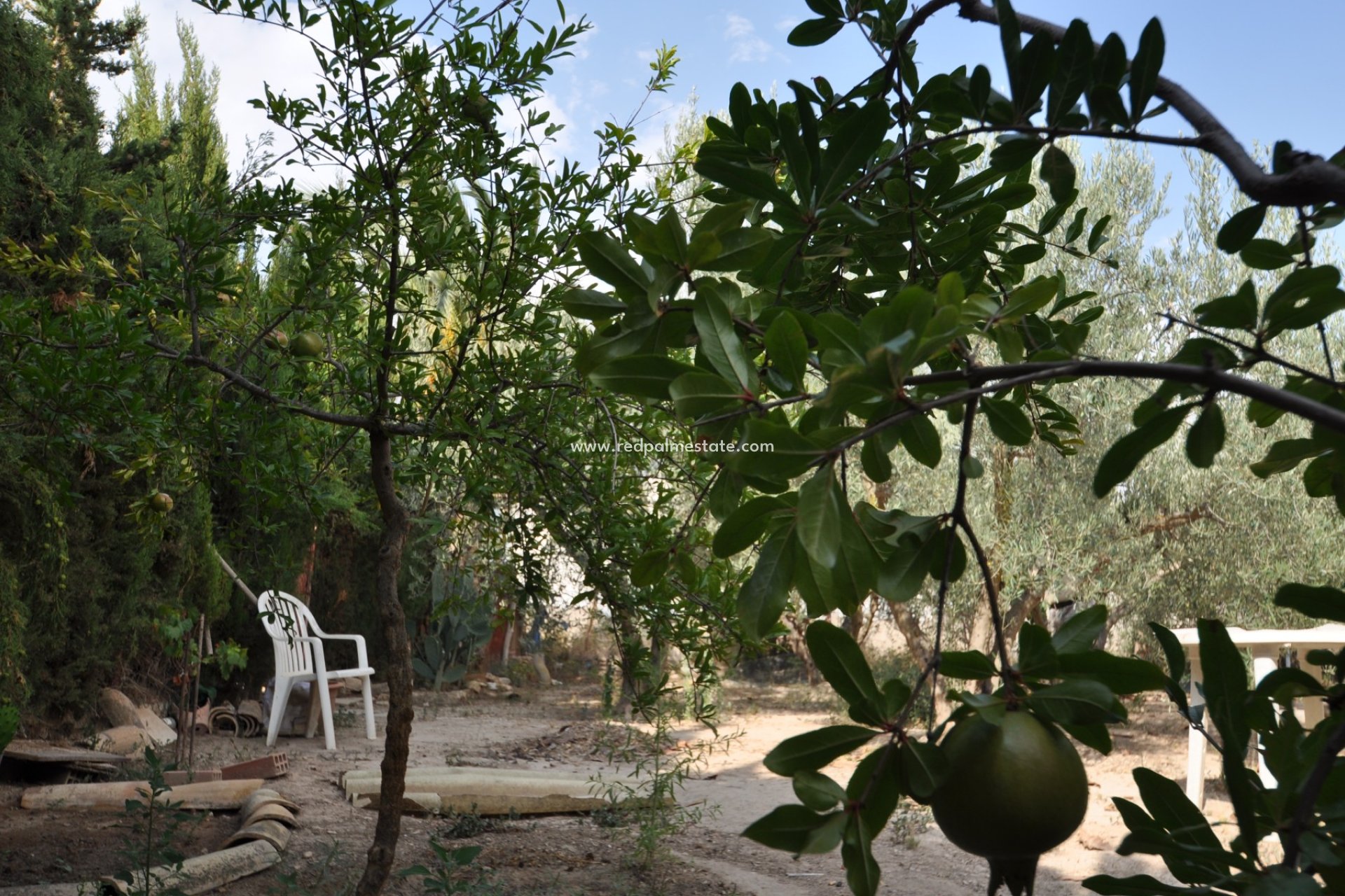 Reventa - Finca / Propiedad de Campo -
Pinoso - Inland