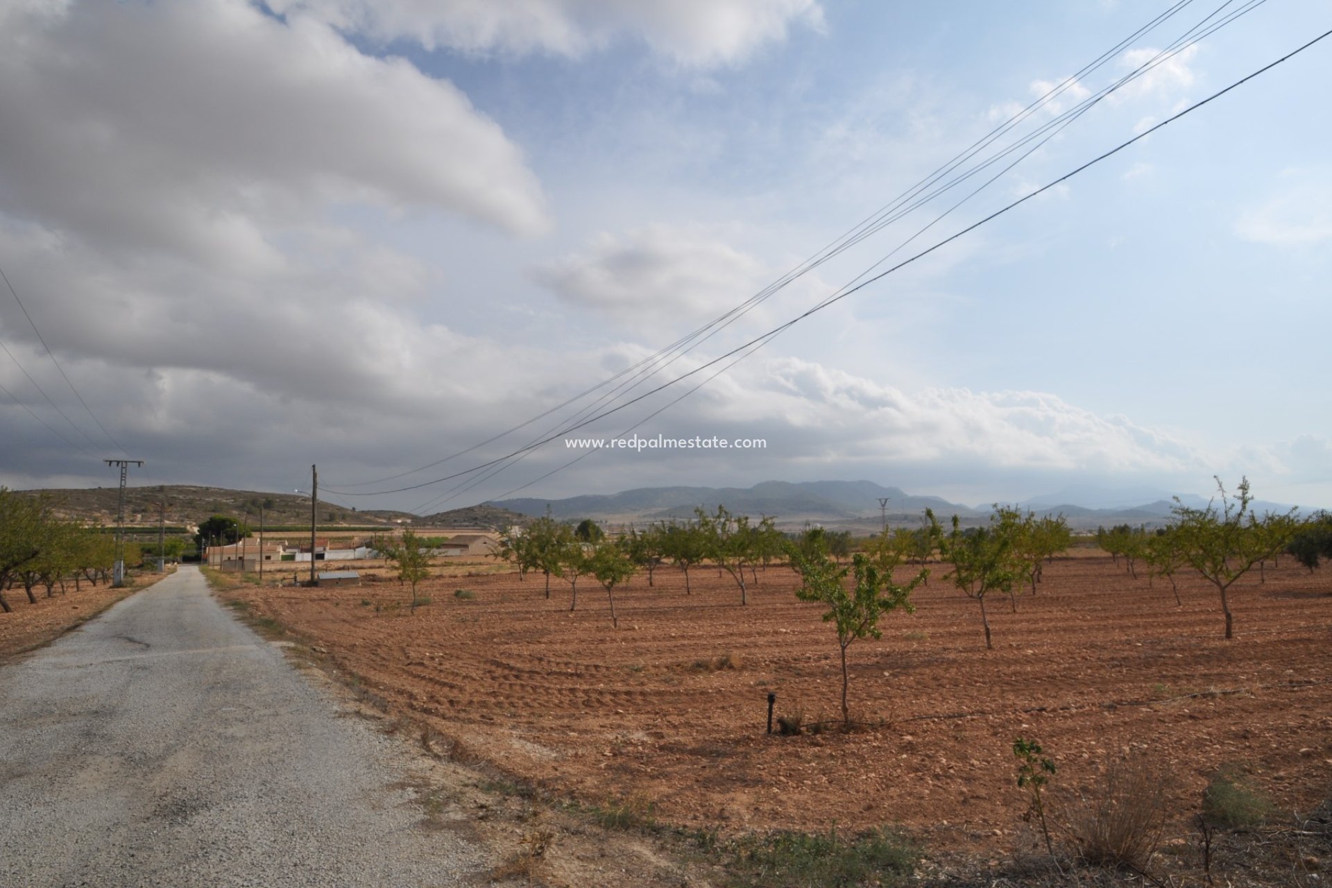 Reventa - Finca / Propiedad de Campo -
Pinoso - Inland
