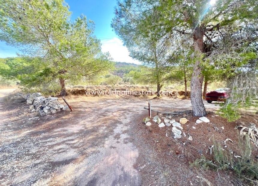 Reventa - Finca / Propiedad de Campo -
Pinoso - Inland