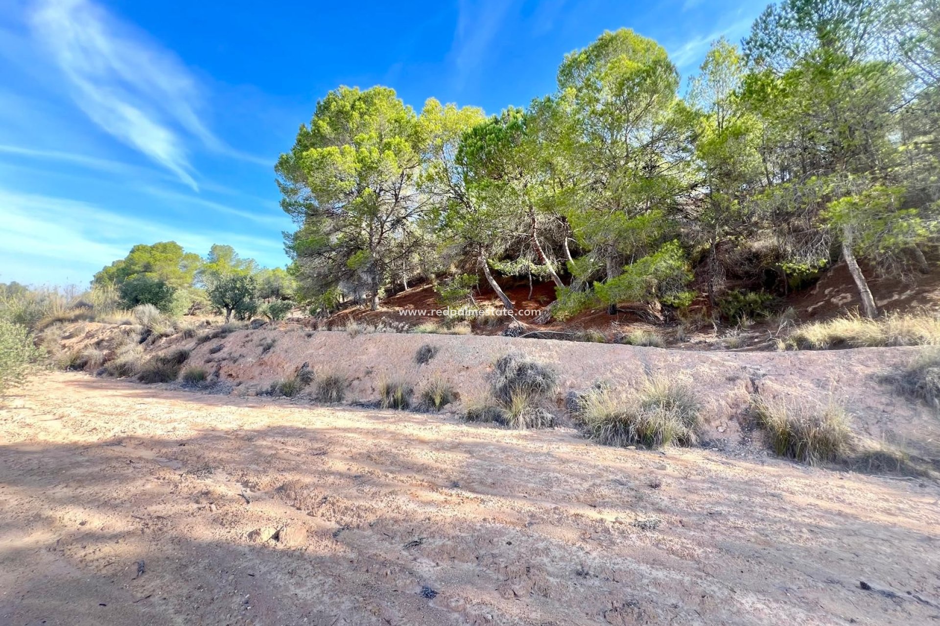 Reventa - Finca / Propiedad de Campo -
Pinoso - Inland