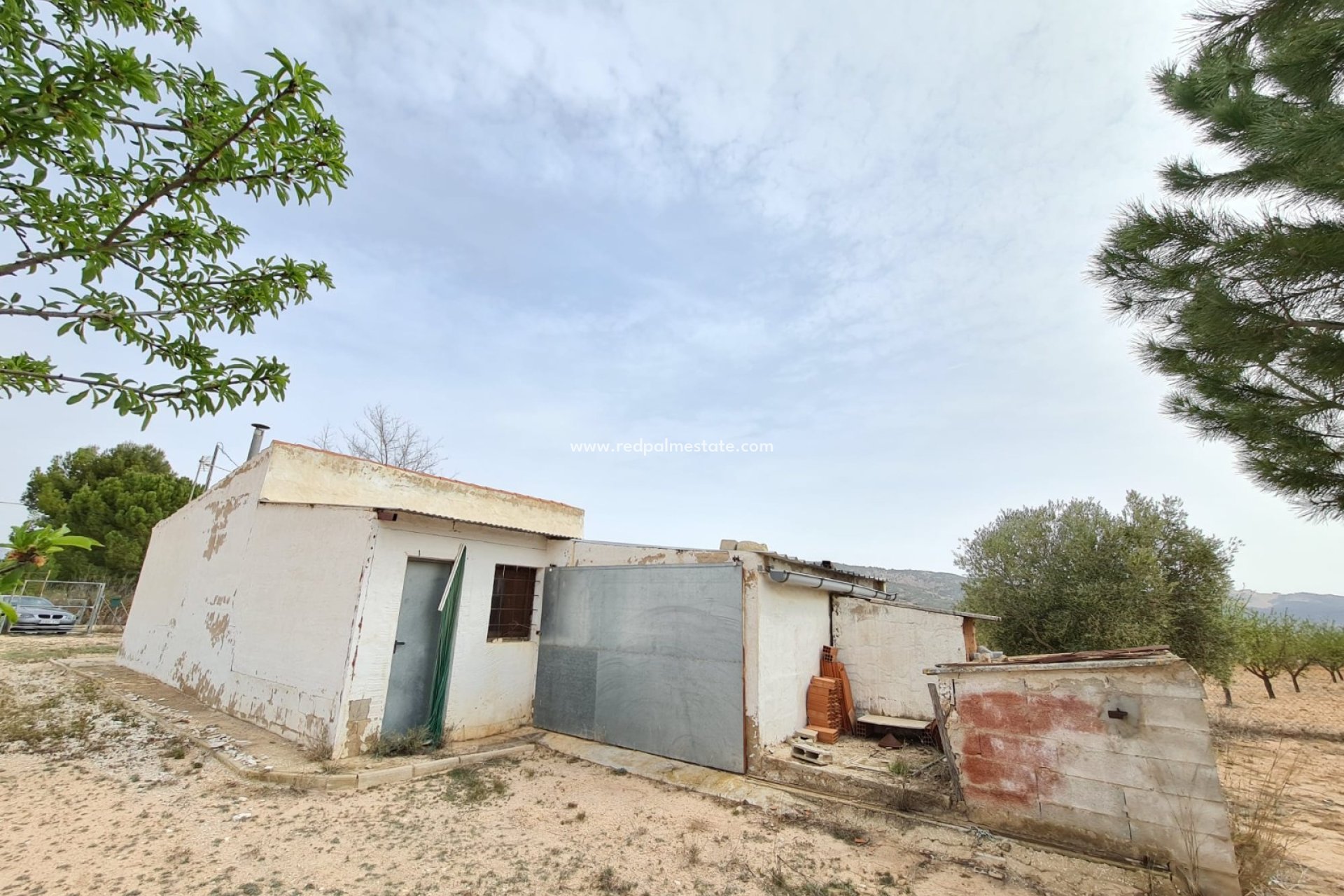 Reventa - Finca / Propiedad de Campo -
Pinoso - Inland