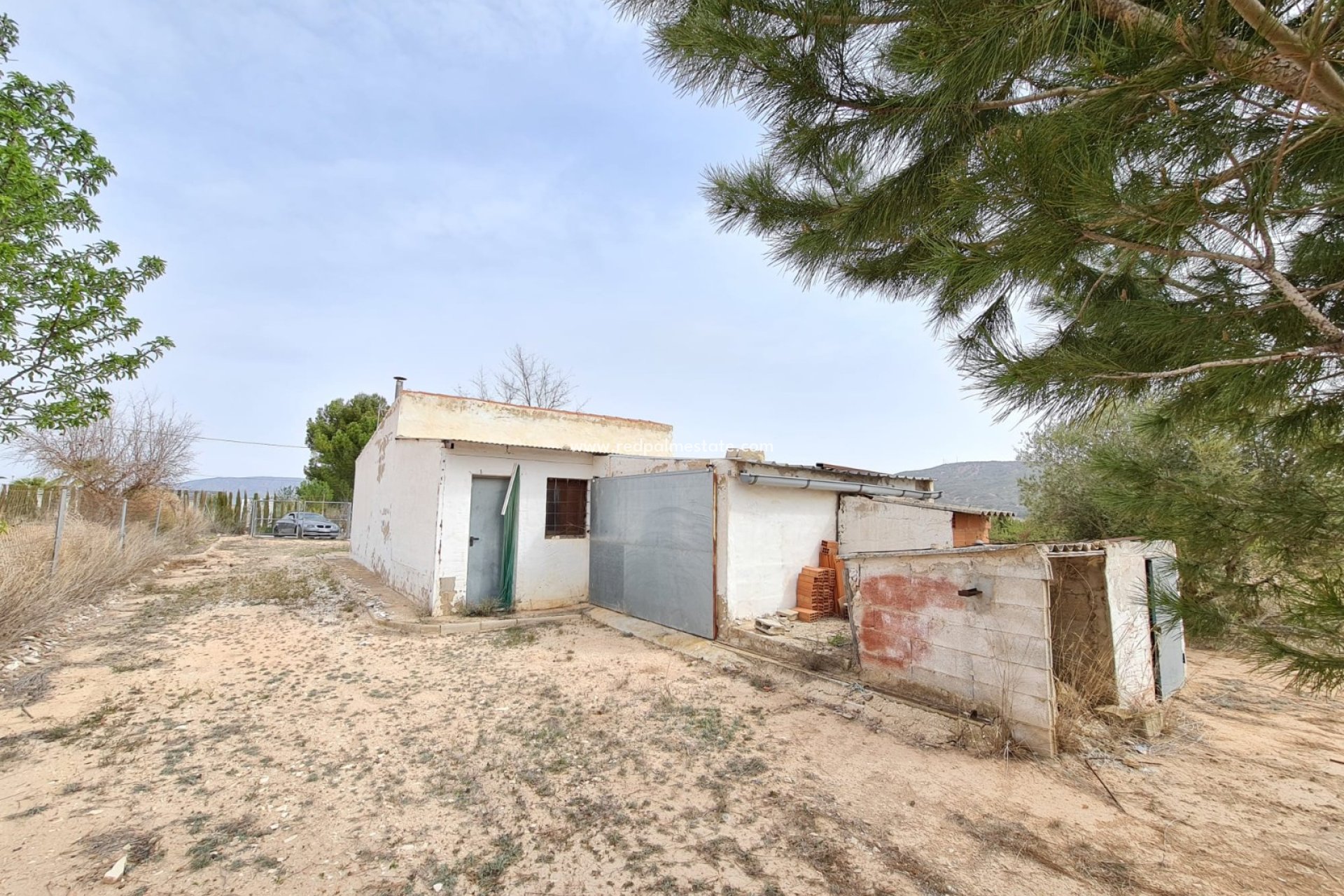 Reventa - Finca / Propiedad de Campo -
Pinoso - Inland