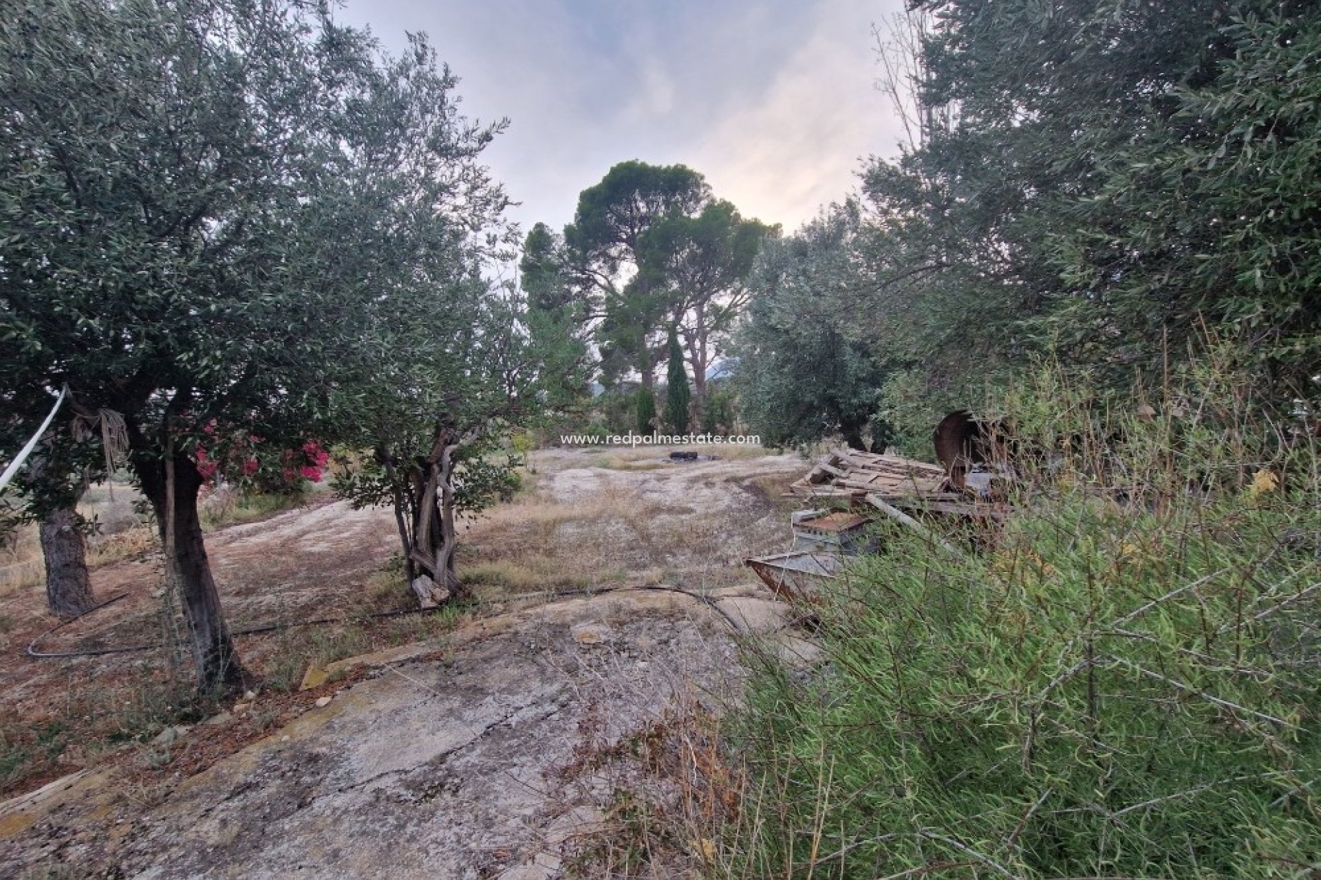 Reventa - Finca / Propiedad de Campo -
Relleu - Inland