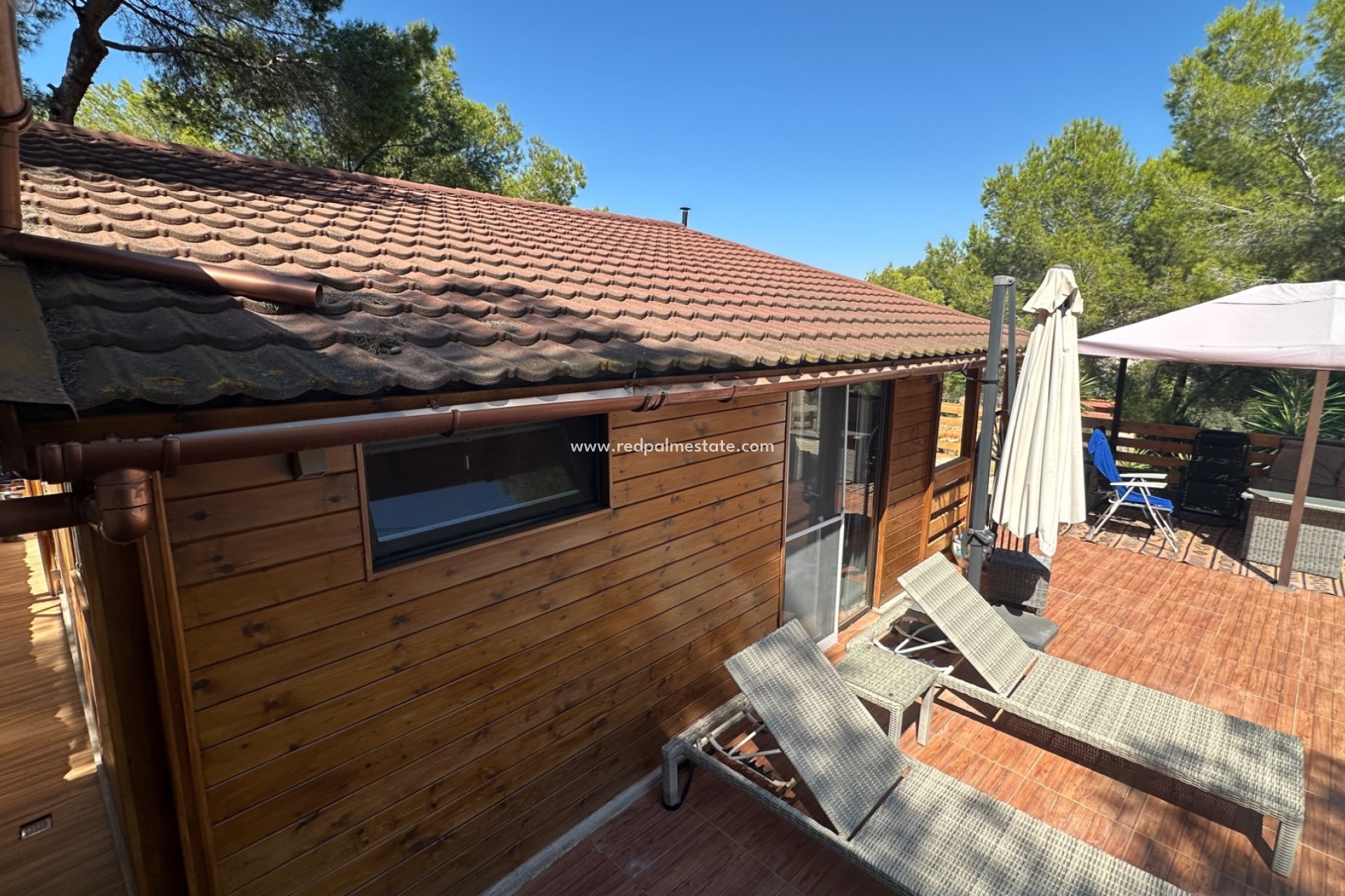 Reventa - Finca / Propiedad de Campo -
San Miguel de Salinas - Inland