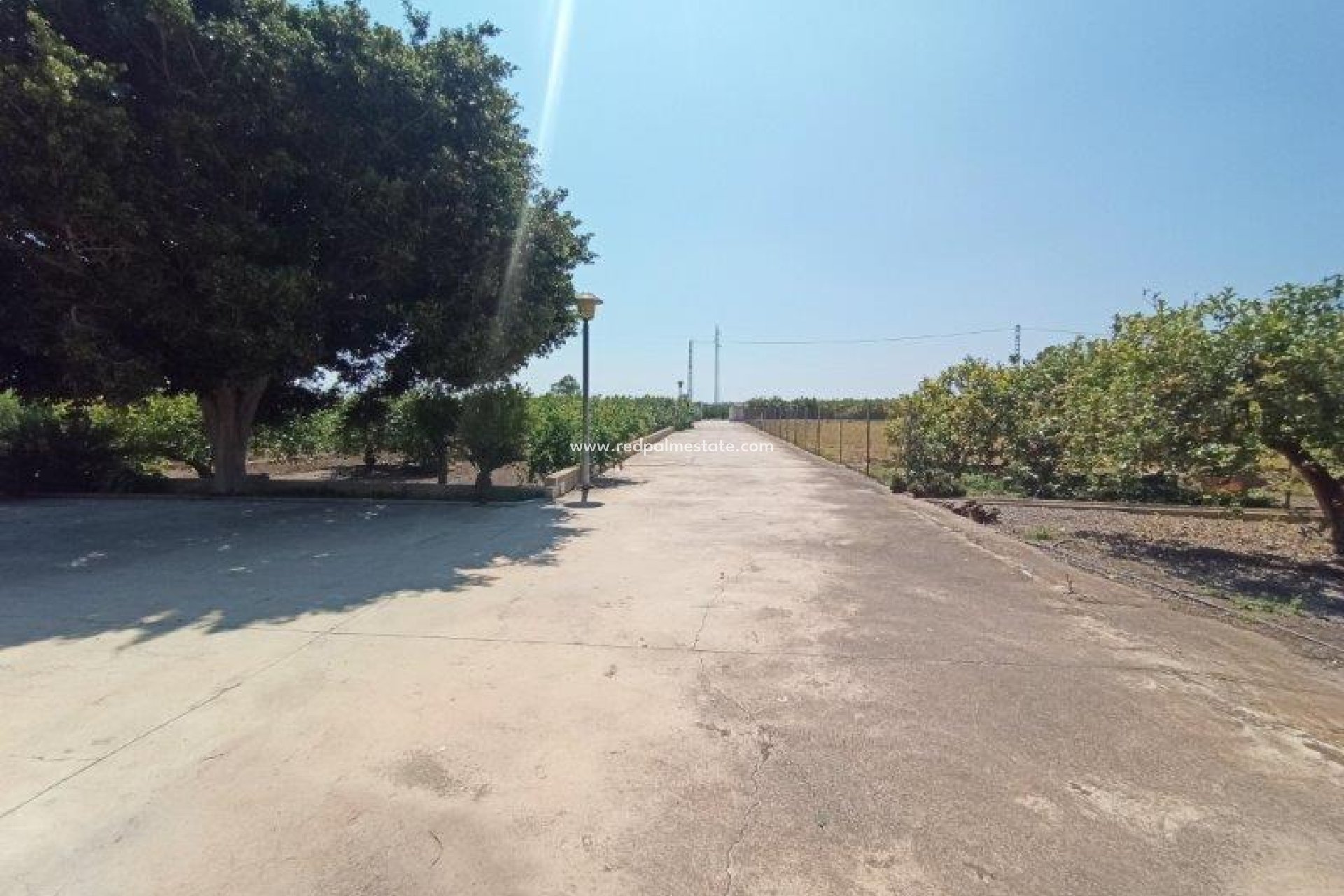Reventa - Finca / Propiedad de Campo -
San Miguel de Salinas - San Miguel Salinas