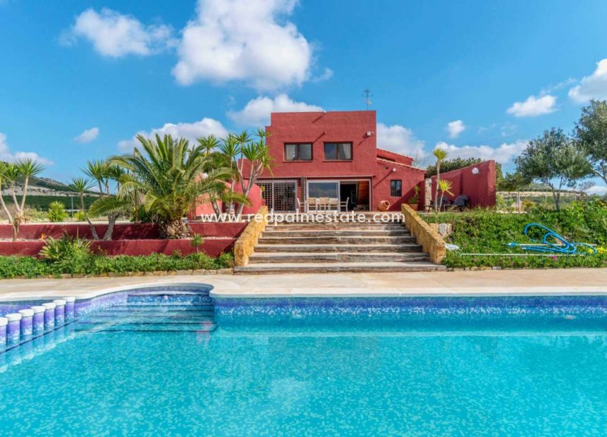 Reventa - Finca / Propiedad de Campo -
Torremendo