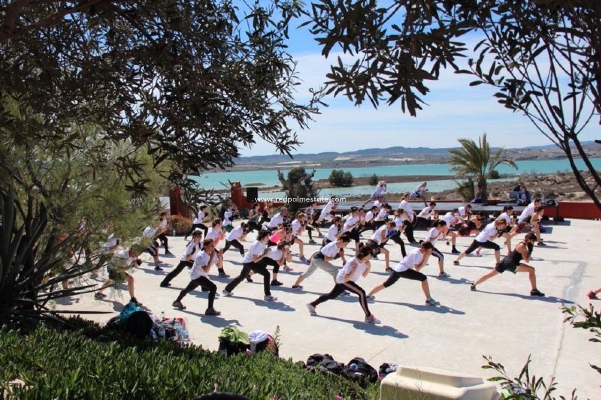 Reventa - Finca / Propiedad de Campo -
Torremendo