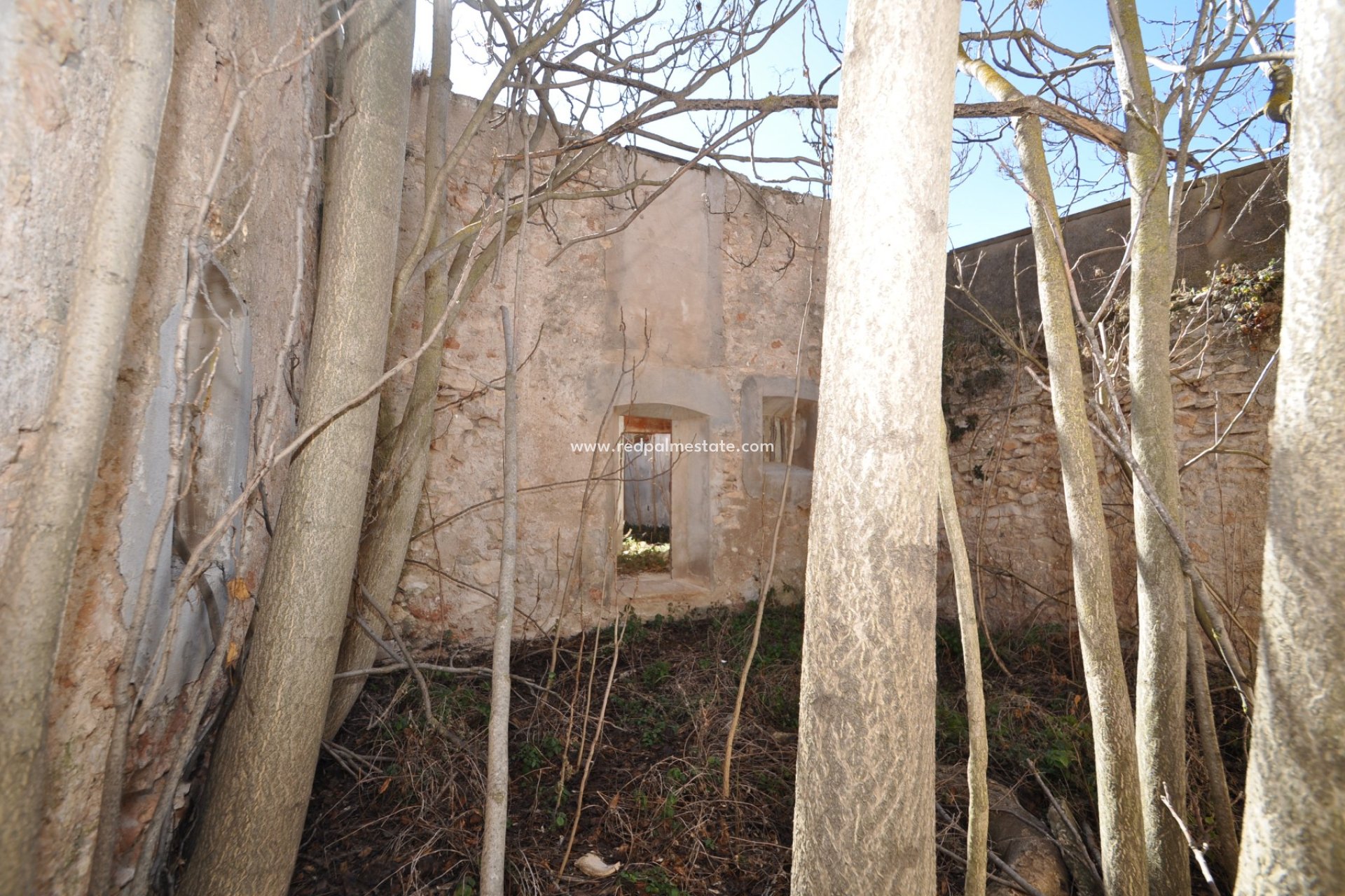 Reventa - Finca / Propiedad de Campo -
Villena - Inland