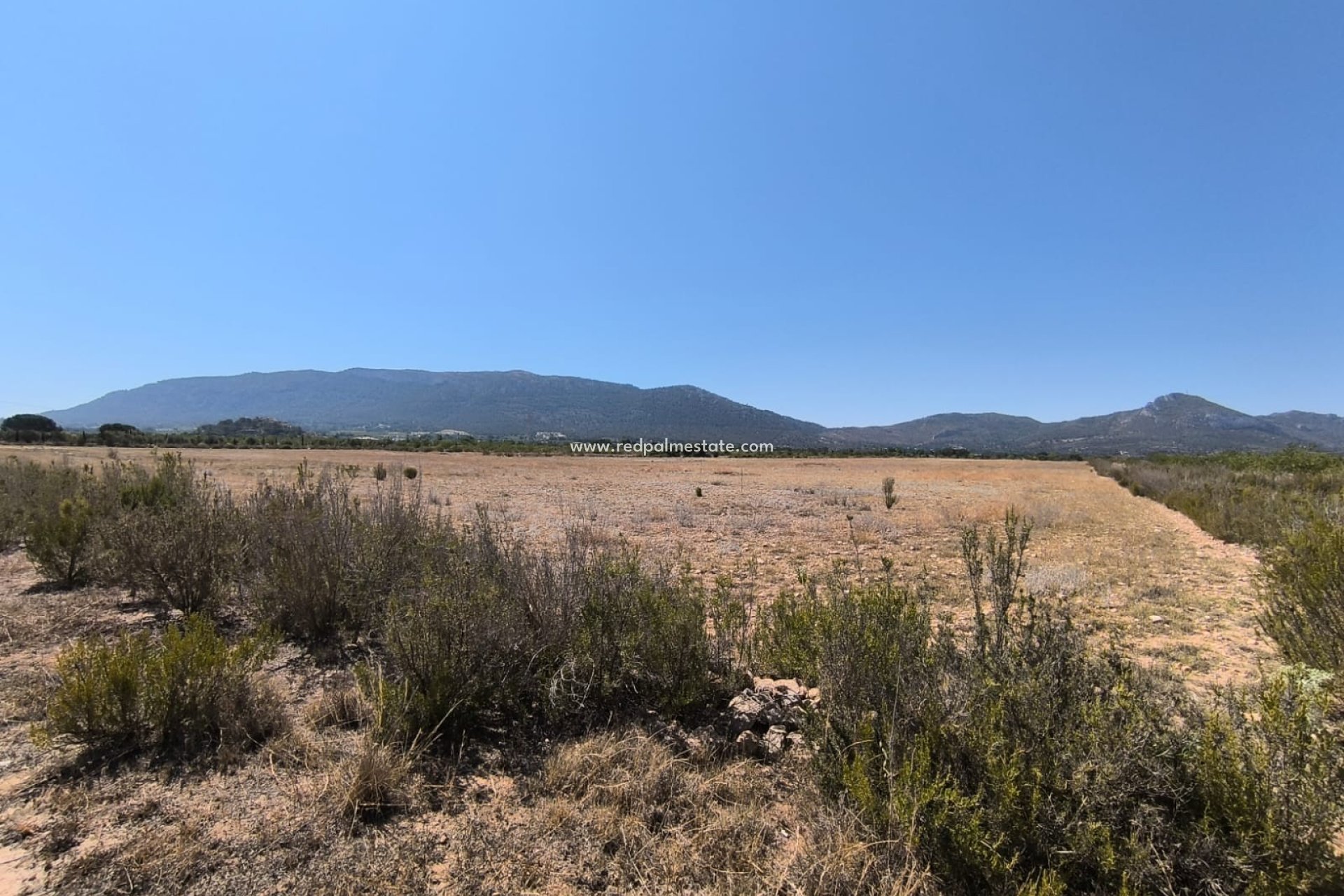 Reventa - Finca / Propiedad de Campo -
Villena - Inland