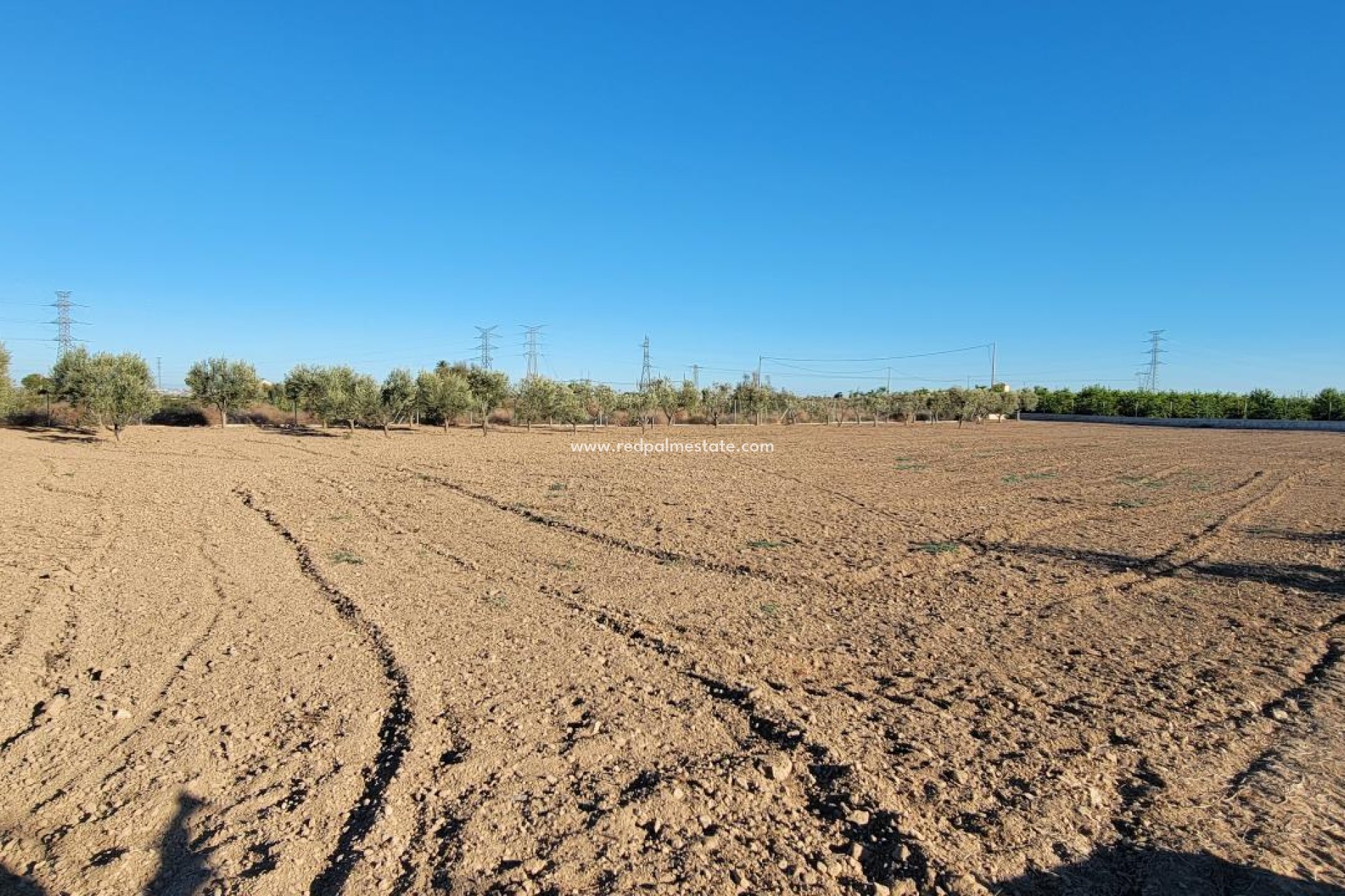 Reventa - Finca -
San Miguel de Salinas