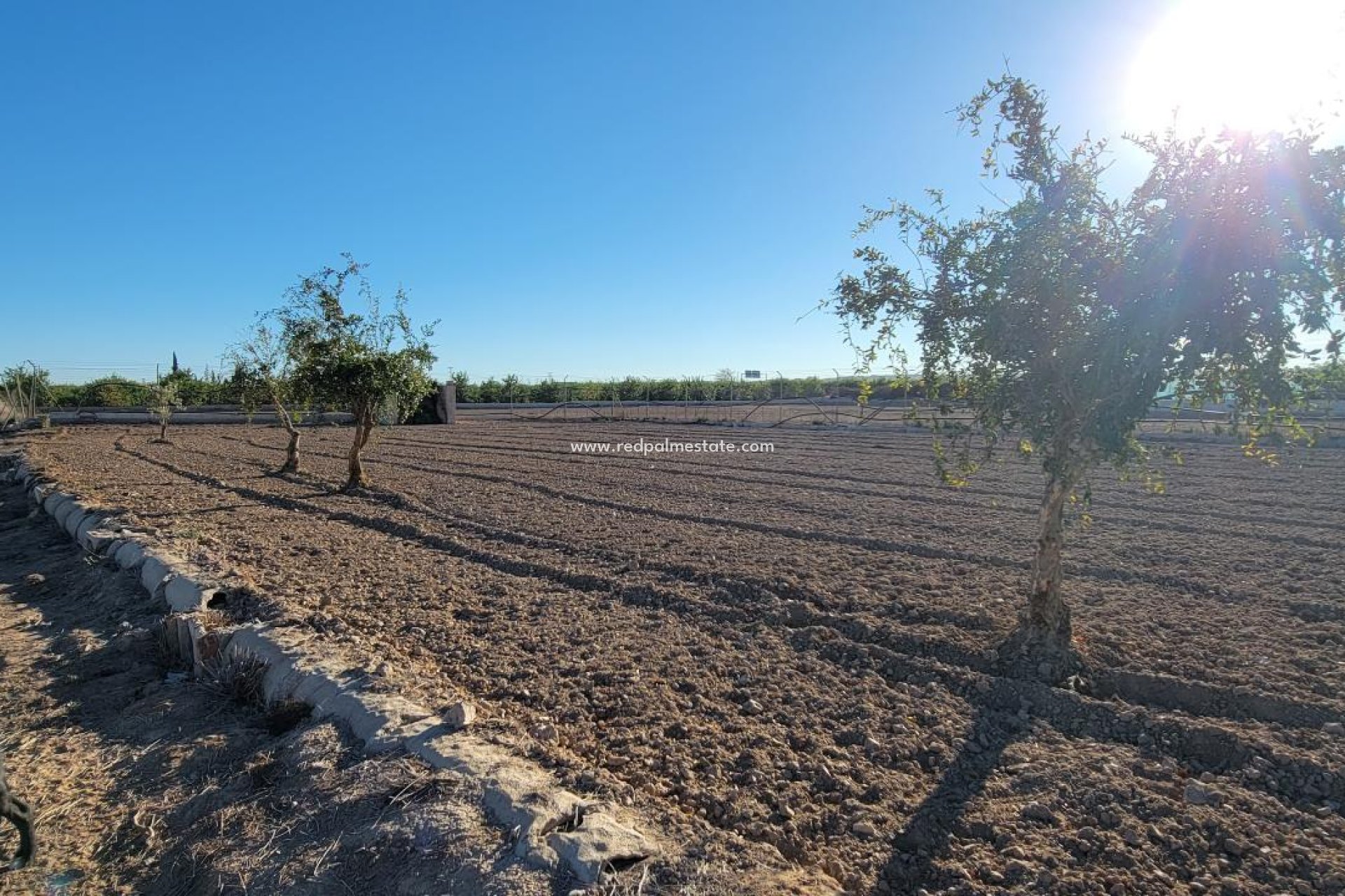 Reventa - Finca -
San Miguel de Salinas