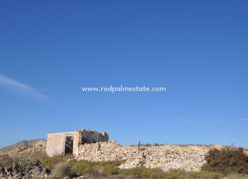 Reventa - Negocio -
Aspe - Inland