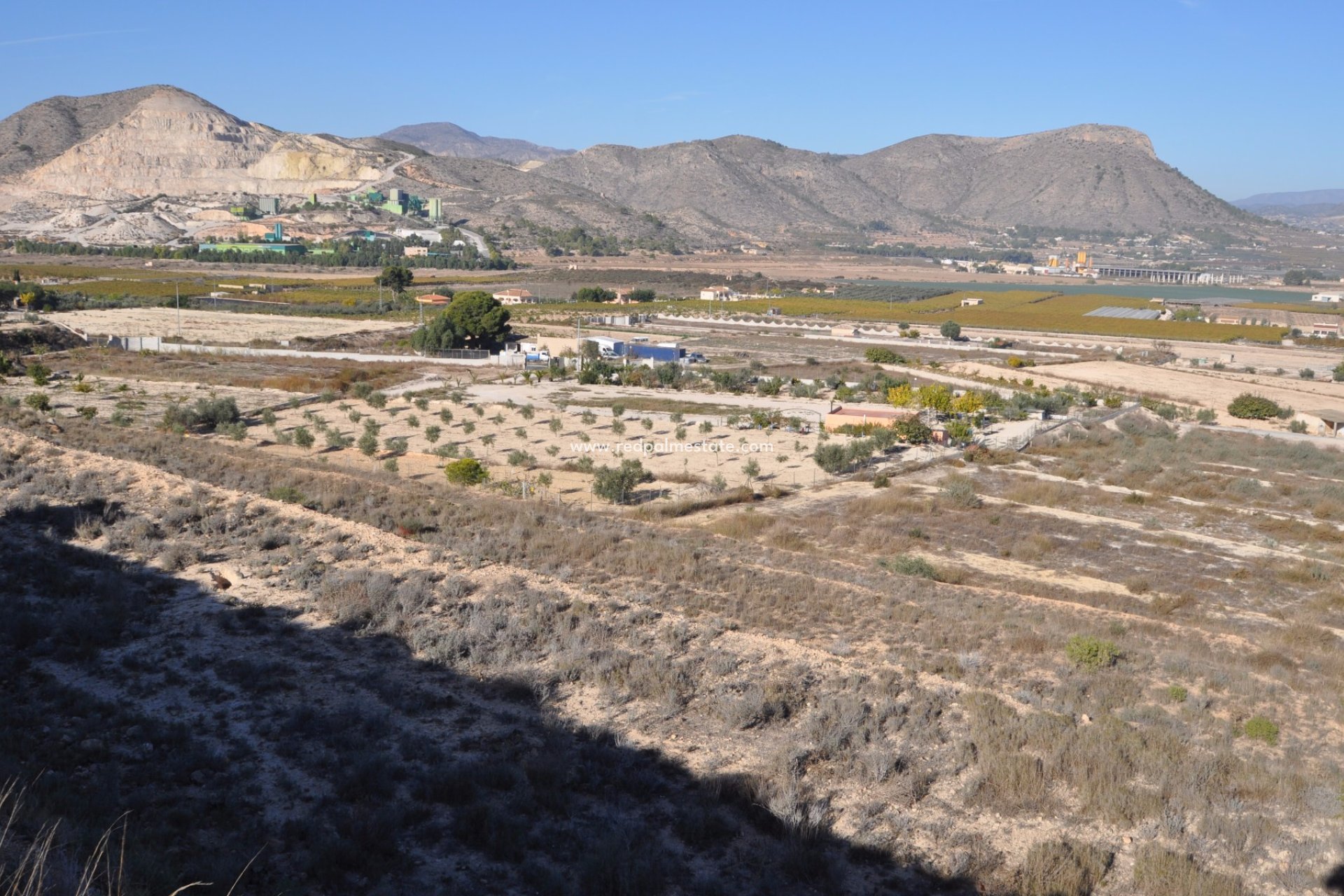 Reventa - Negocio -
Aspe - Inland