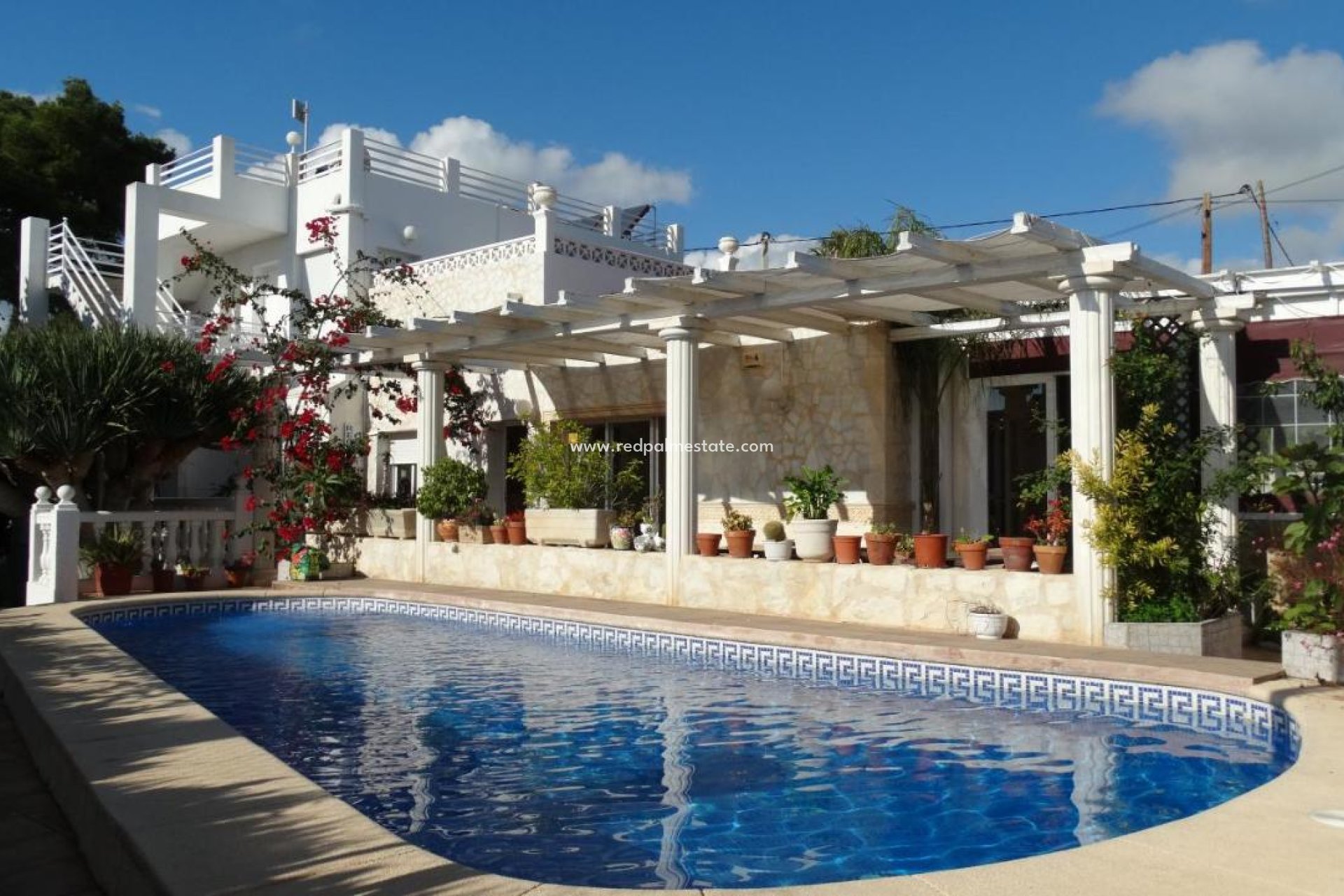 Reventa - Negocio -
Calpe