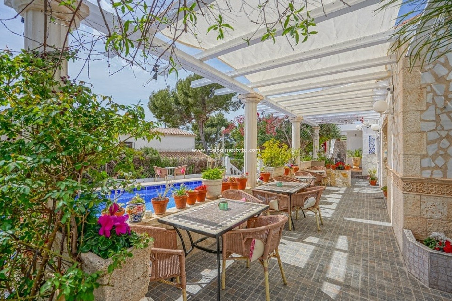 Reventa - Negocio -
Calpe