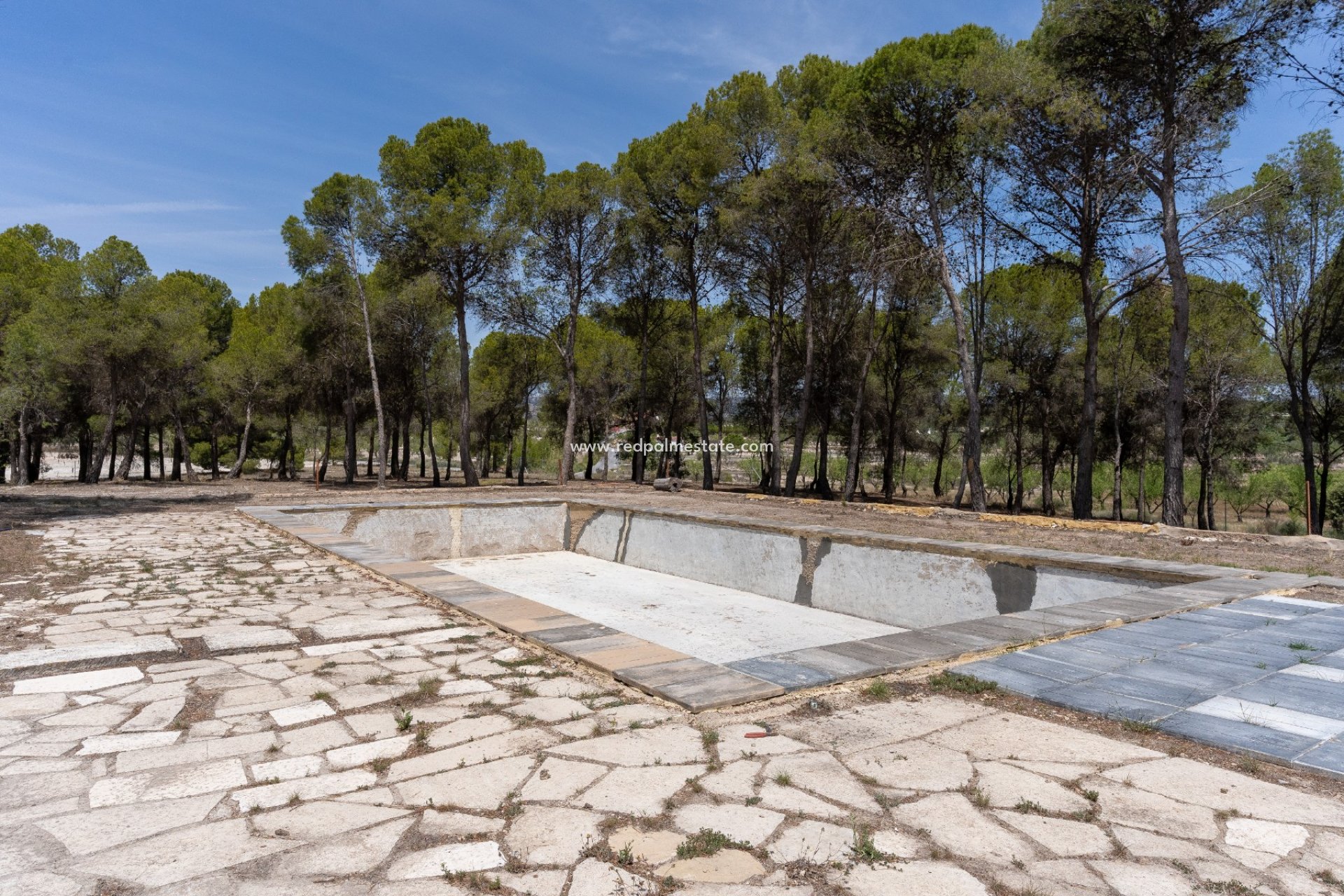 Reventa - Negocio -
Castalla - Inland