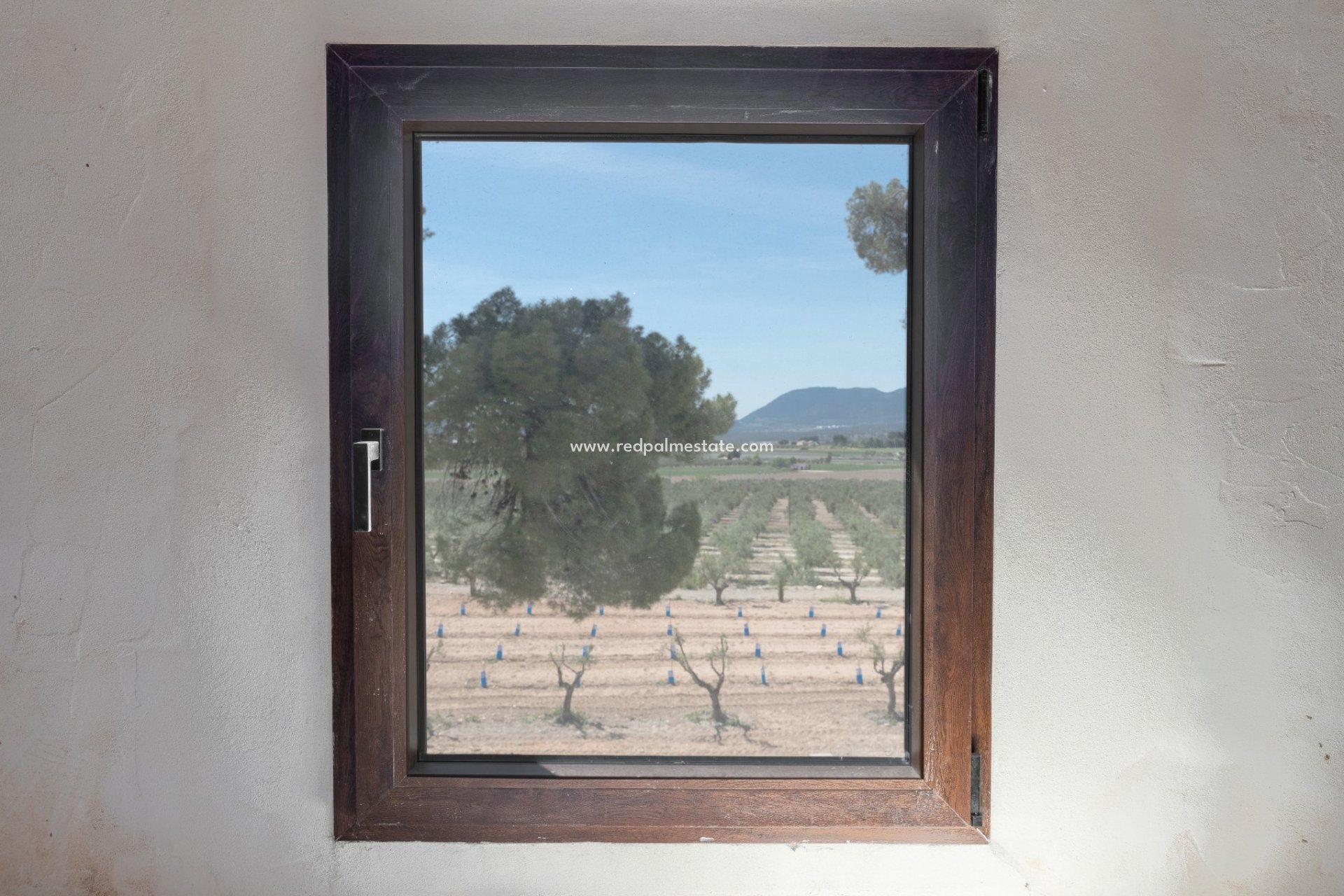 Reventa - Negocio -
Castalla - Inland