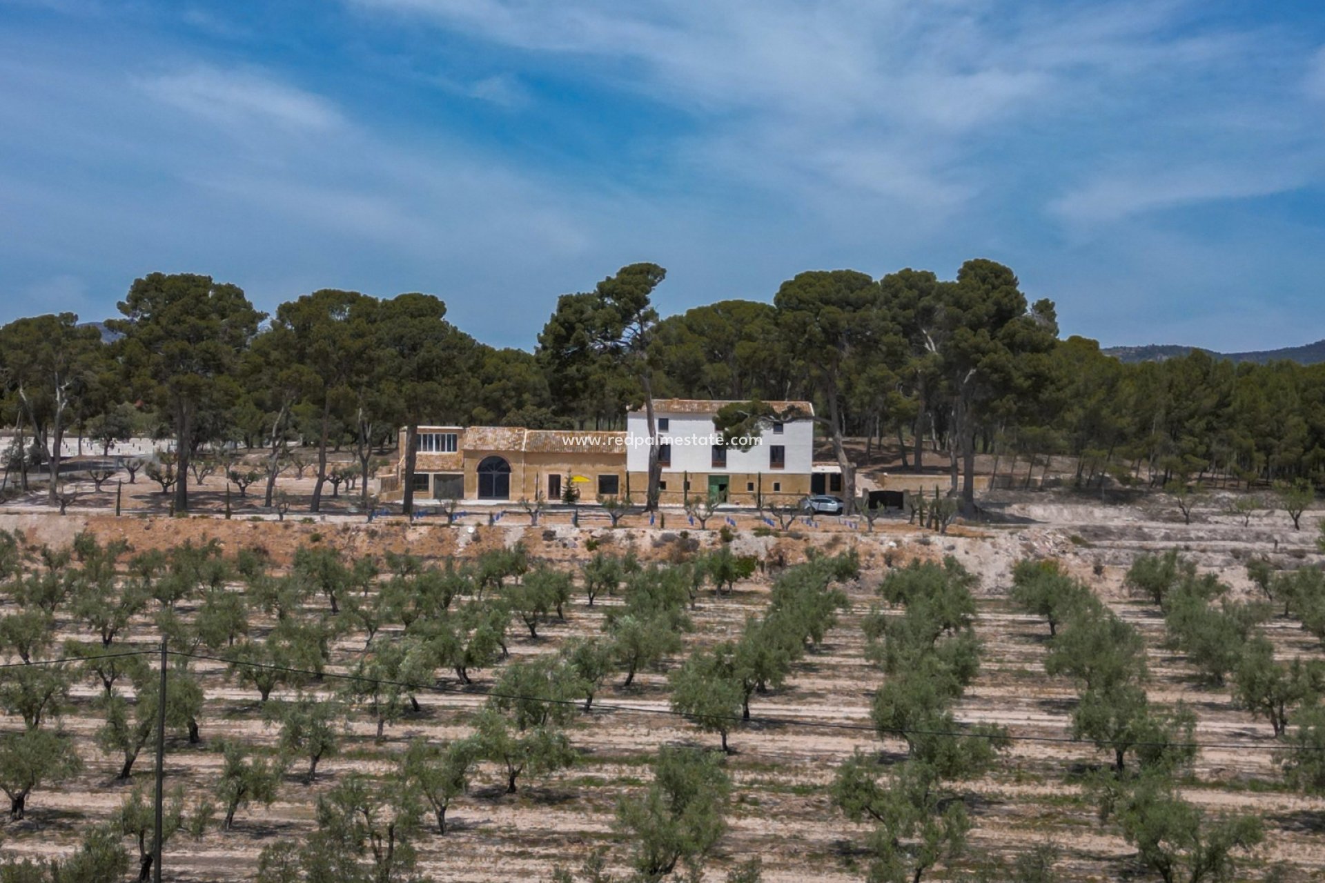 Reventa - Negocio -
Castalla - Inland