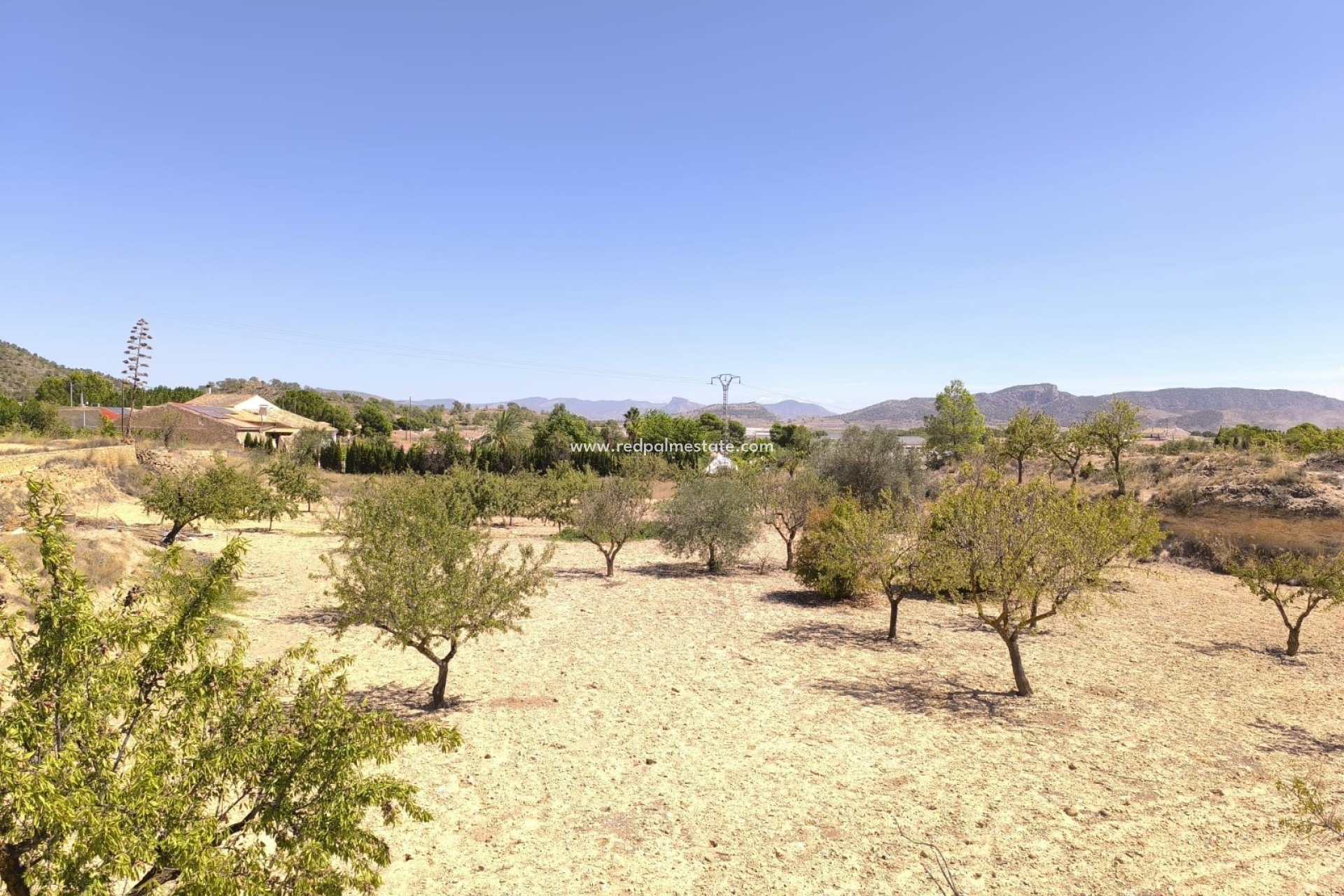 Reventa - Negocio -
Chinorlet - Inland