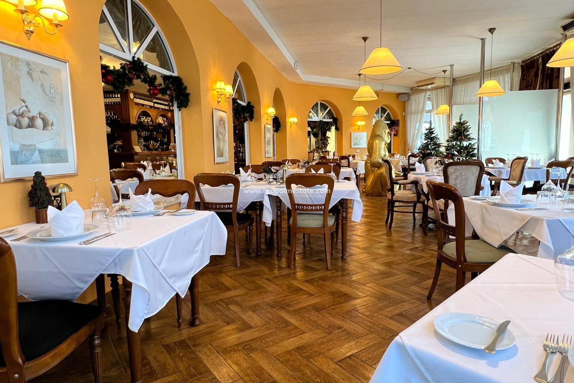 Reventa - Negocio -
Ciudad Quesada - Ciudad quesada