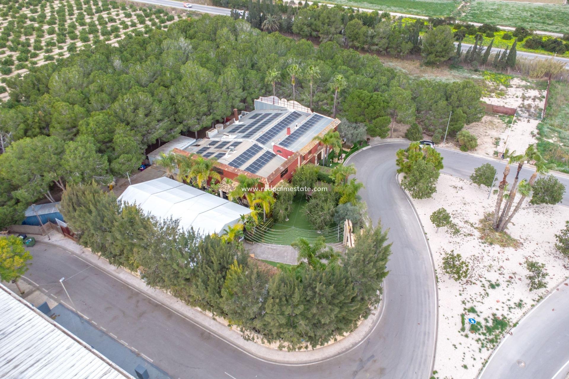 Reventa - Negocio -
Ciudad Quesada/Rojales - Heredades