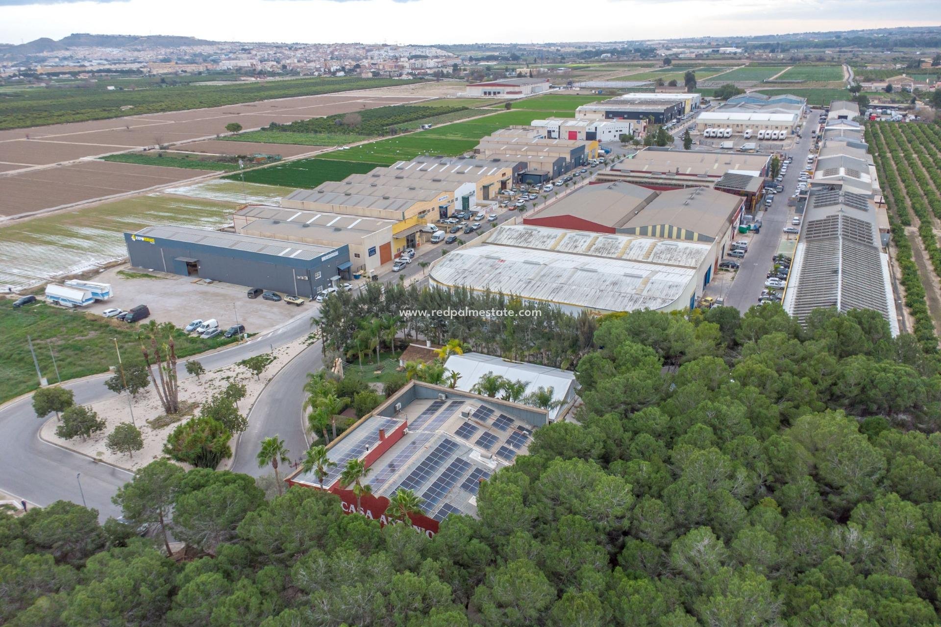 Reventa - Negocio -
Ciudad Quesada/Rojales - Heredades