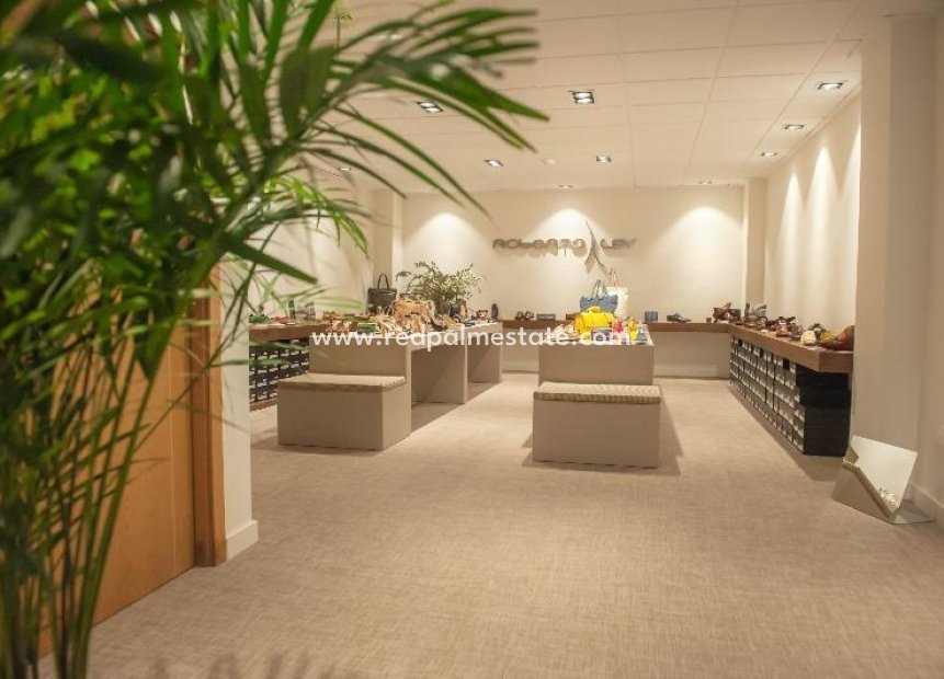 Reventa - Negocio -
Guardamar del Segura - Guardamar