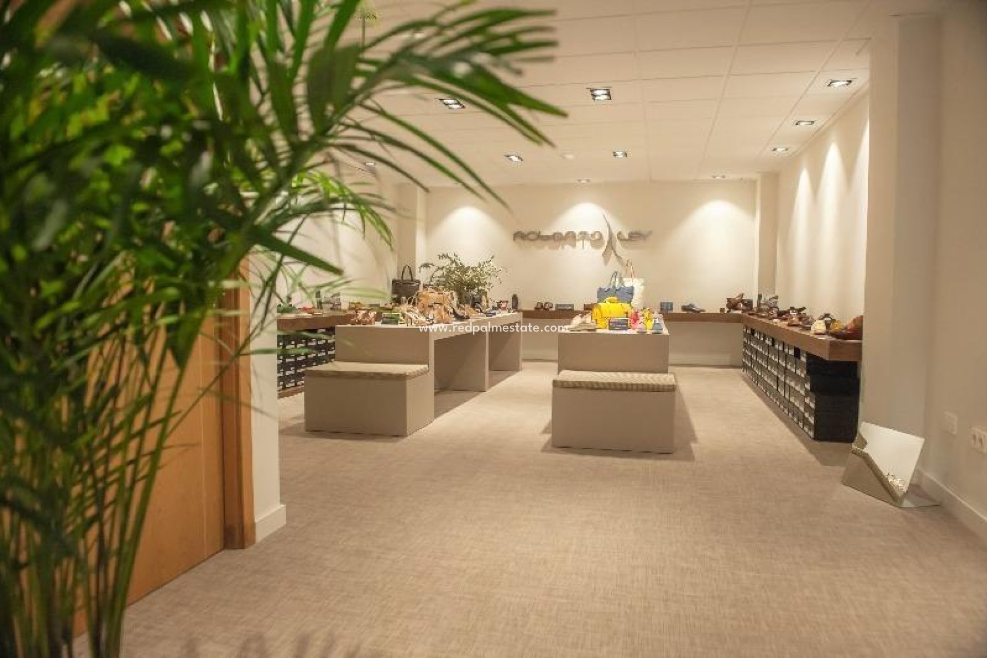 Reventa - Negocio -
Guardamar del Segura - Guardamar