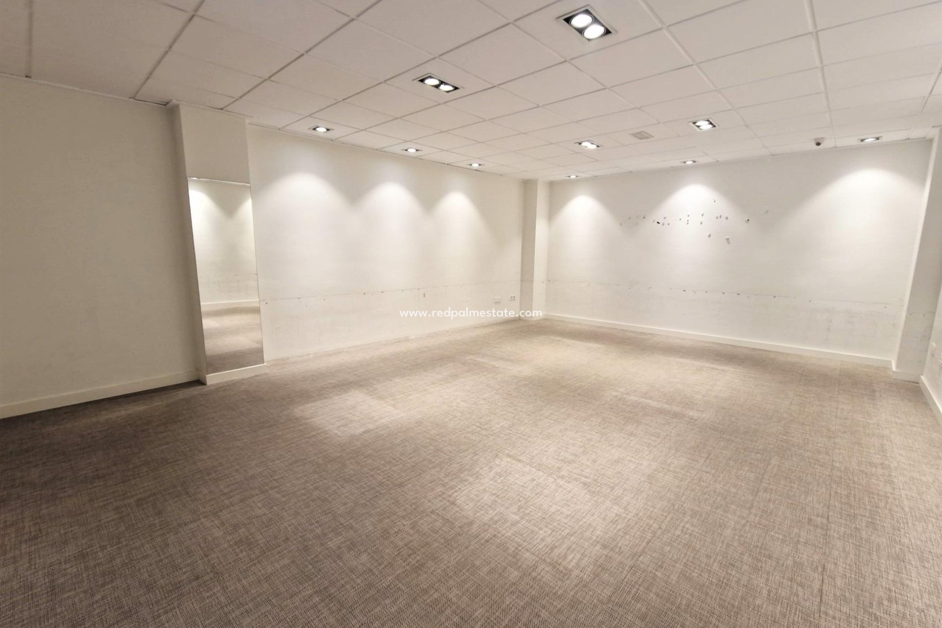 Reventa - Negocio -
Guardamar del Segura - Guardamar