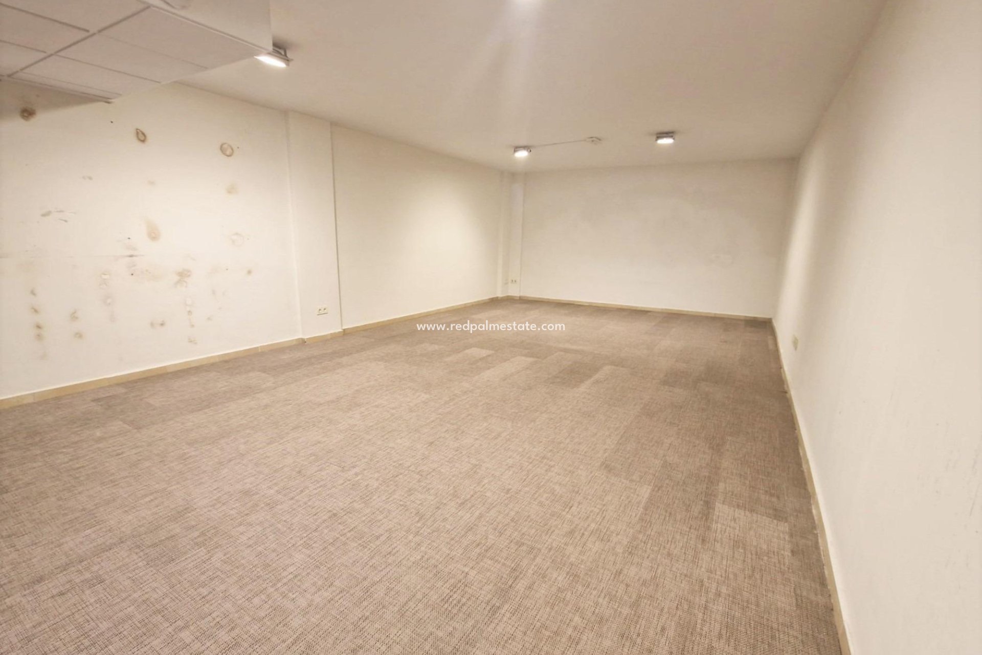 Reventa - Negocio -
Guardamar del Segura - Guardamar