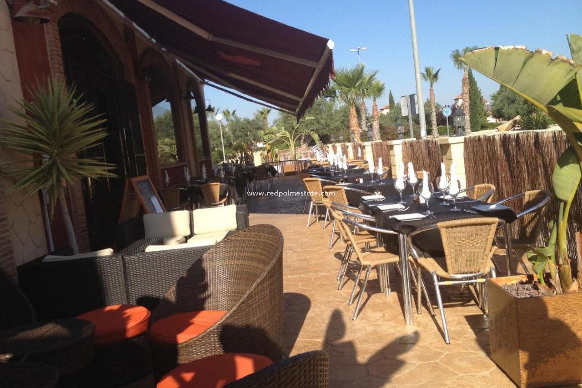 Reventa - Negocio -
Guardamar del Segura - Guardamar