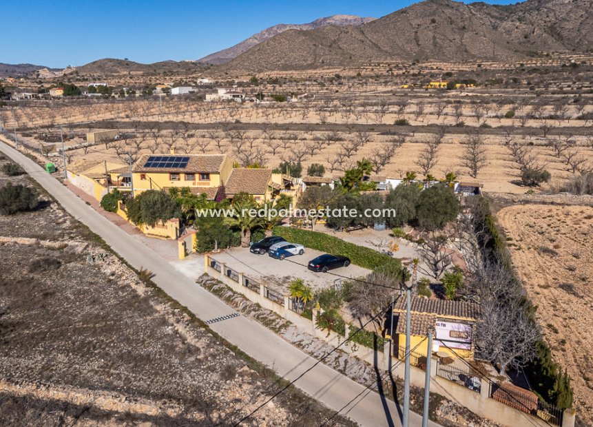 Reventa - Negocio -
Hondón de las Nieves - Inland