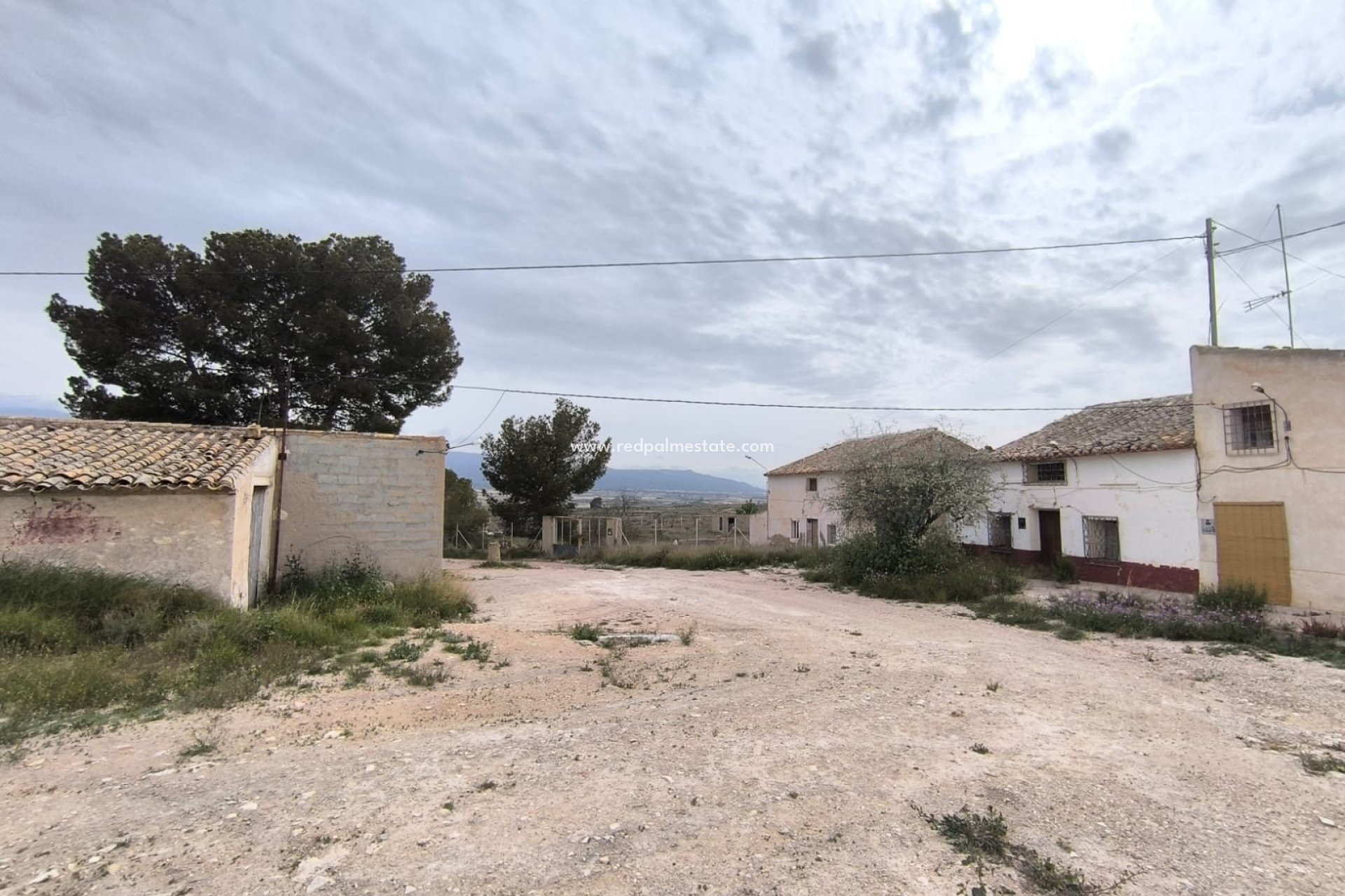 Reventa - Negocio -
Las Encebras - Inland