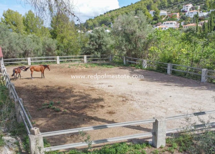 Reventa - Negocio -
Orba - Inland