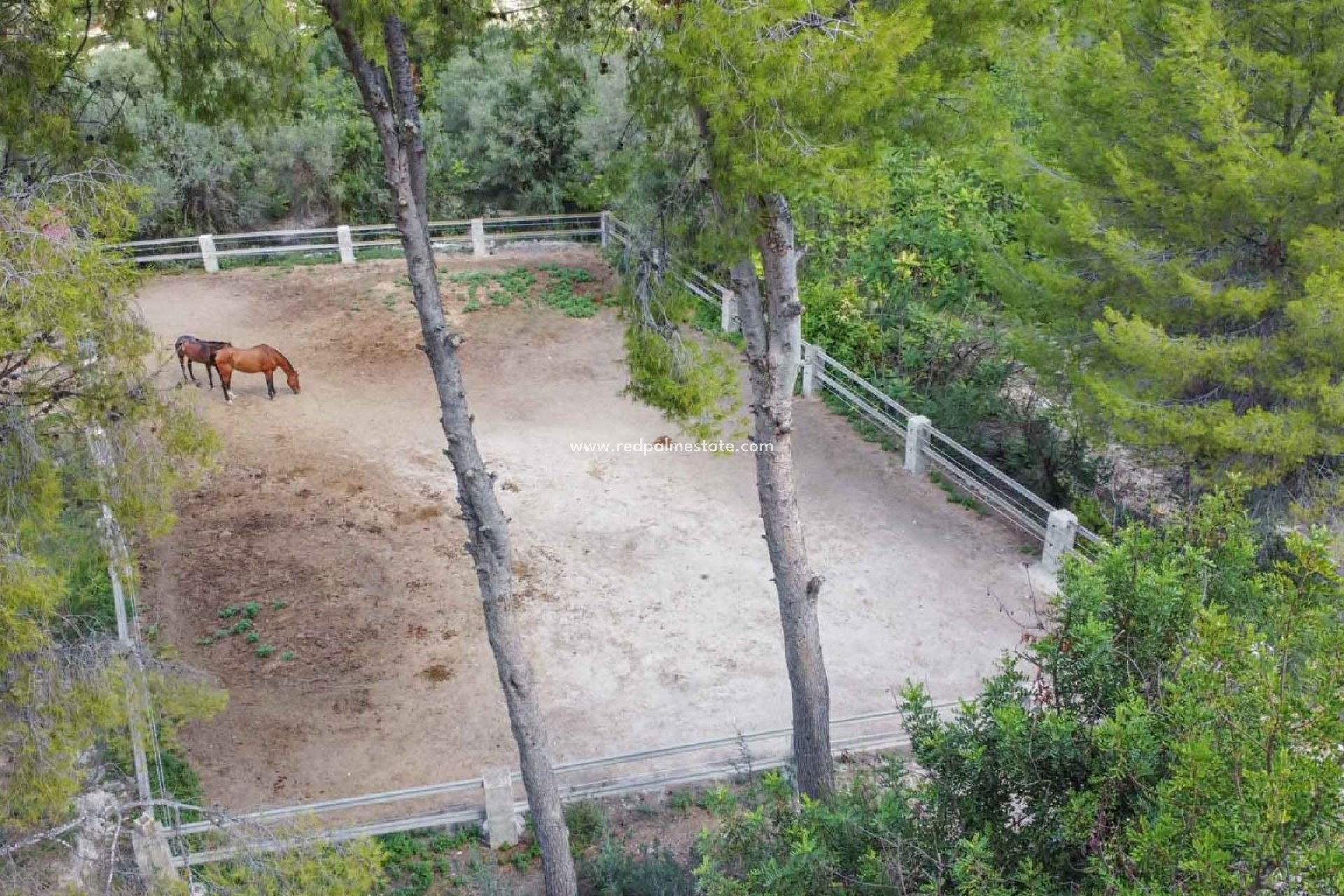 Reventa - Negocio -
Orba - Inland