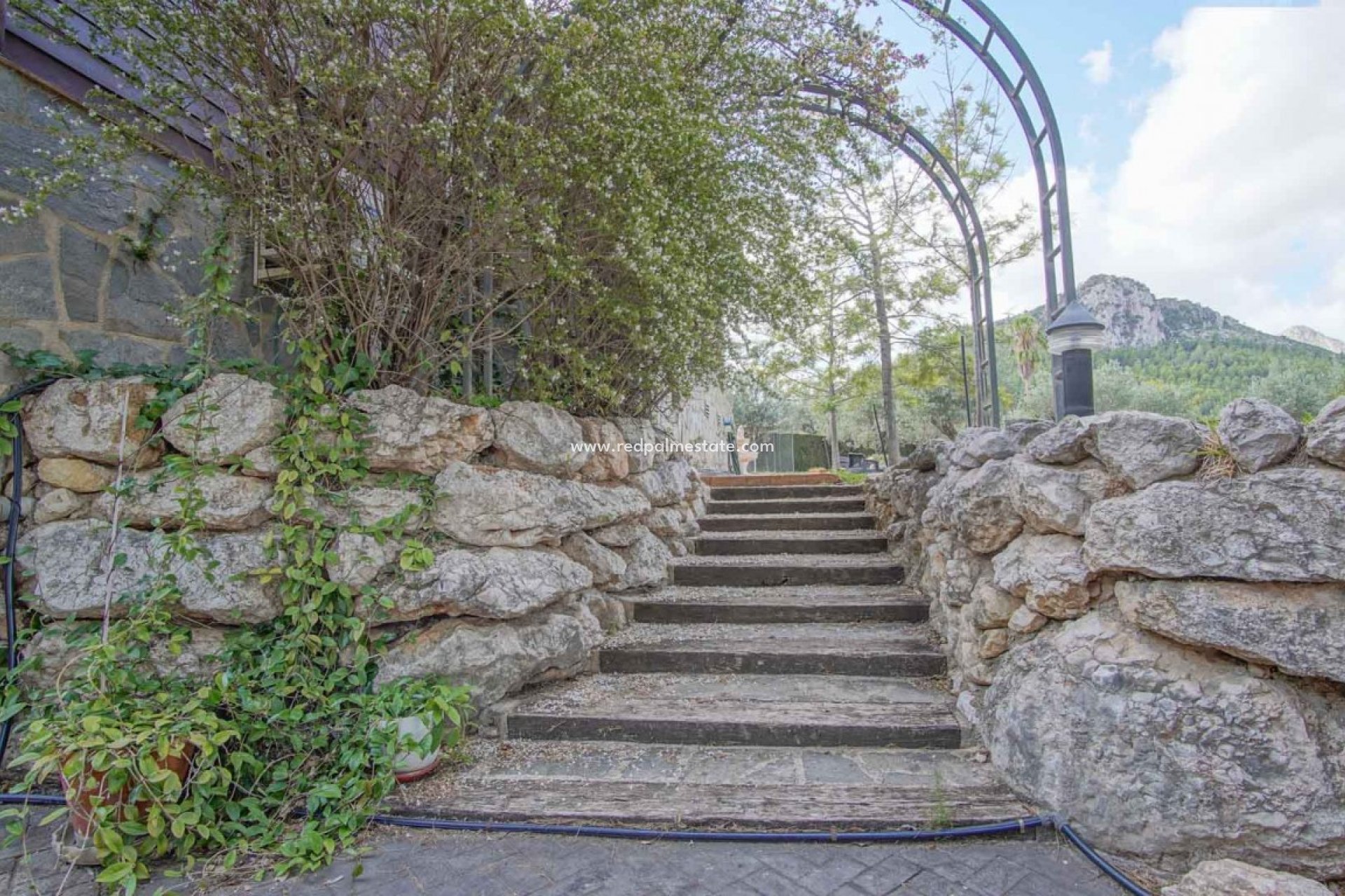 Reventa - Negocio -
Orba - Inland